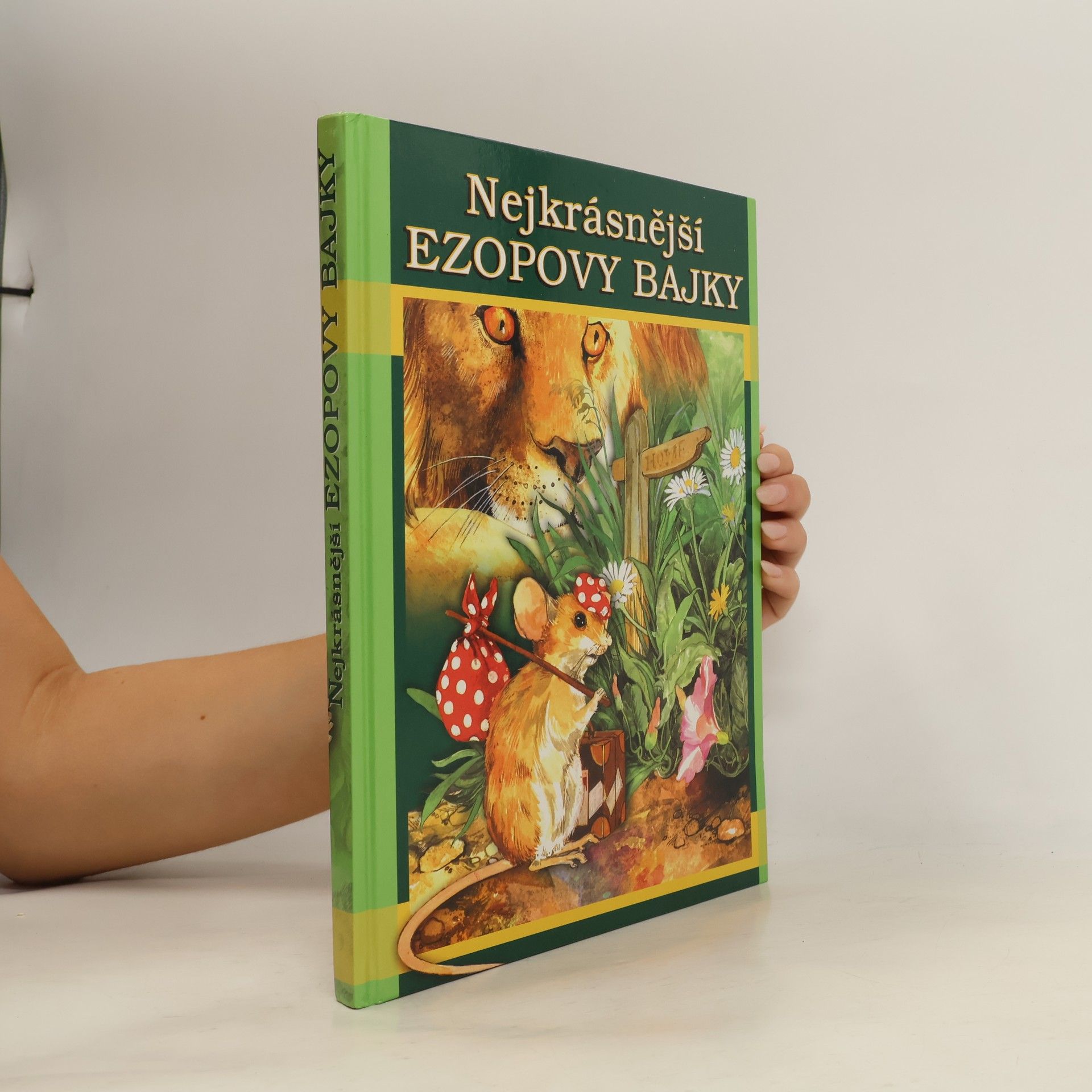 Kolektiv autorů Nejkrásnější Ezopovy bajky