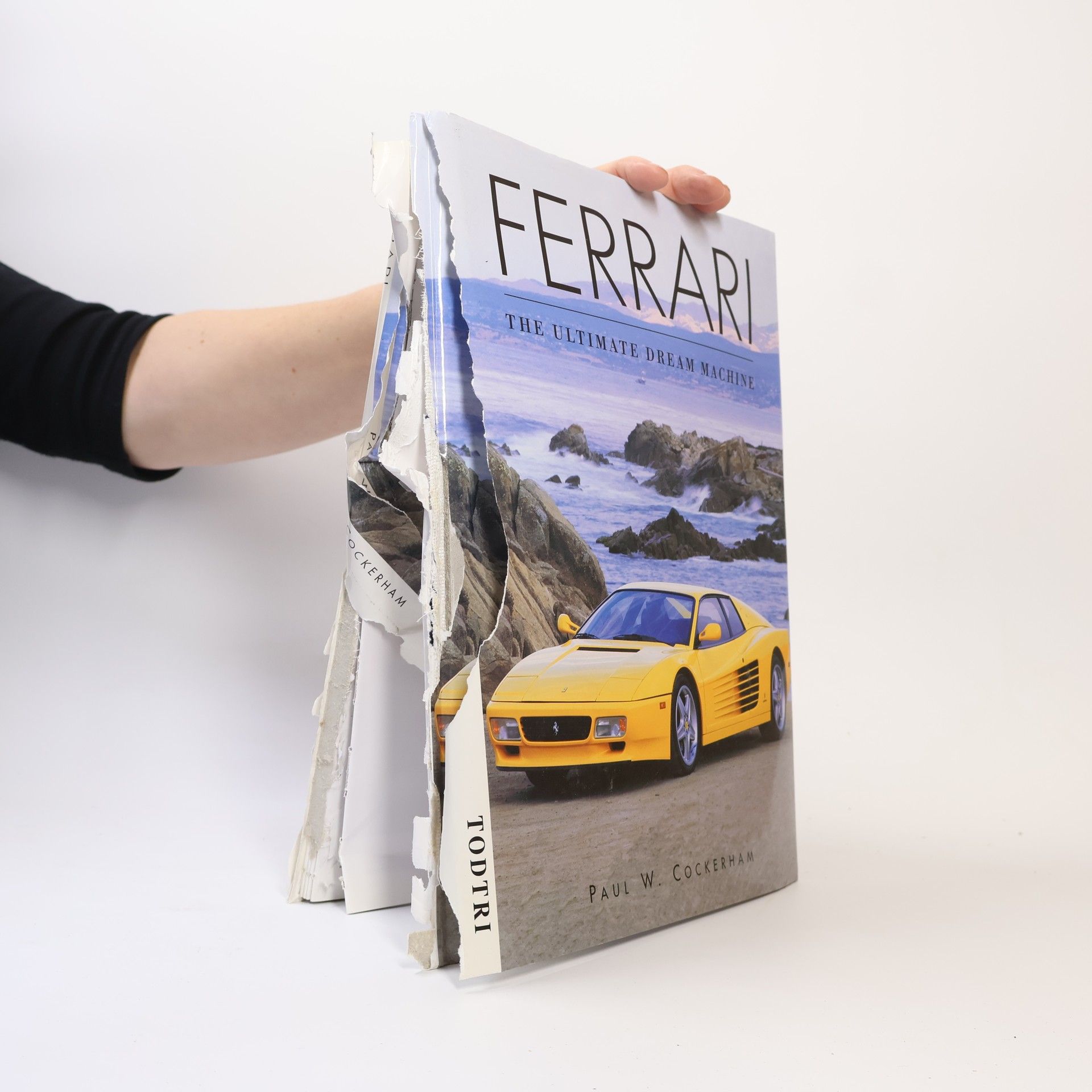 Cars Series: Ferrari