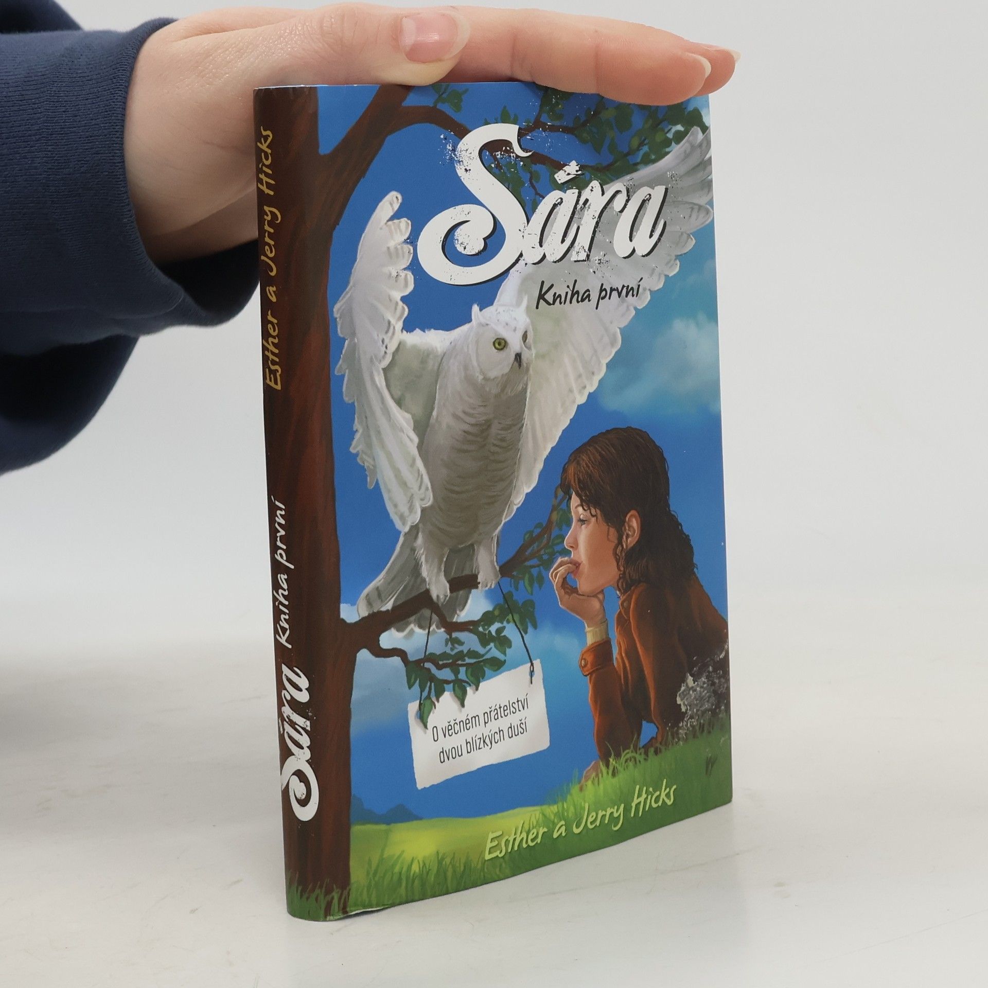Esther Hicks Sára. Kniha první, O věčném přátelství dvou blízkých duší