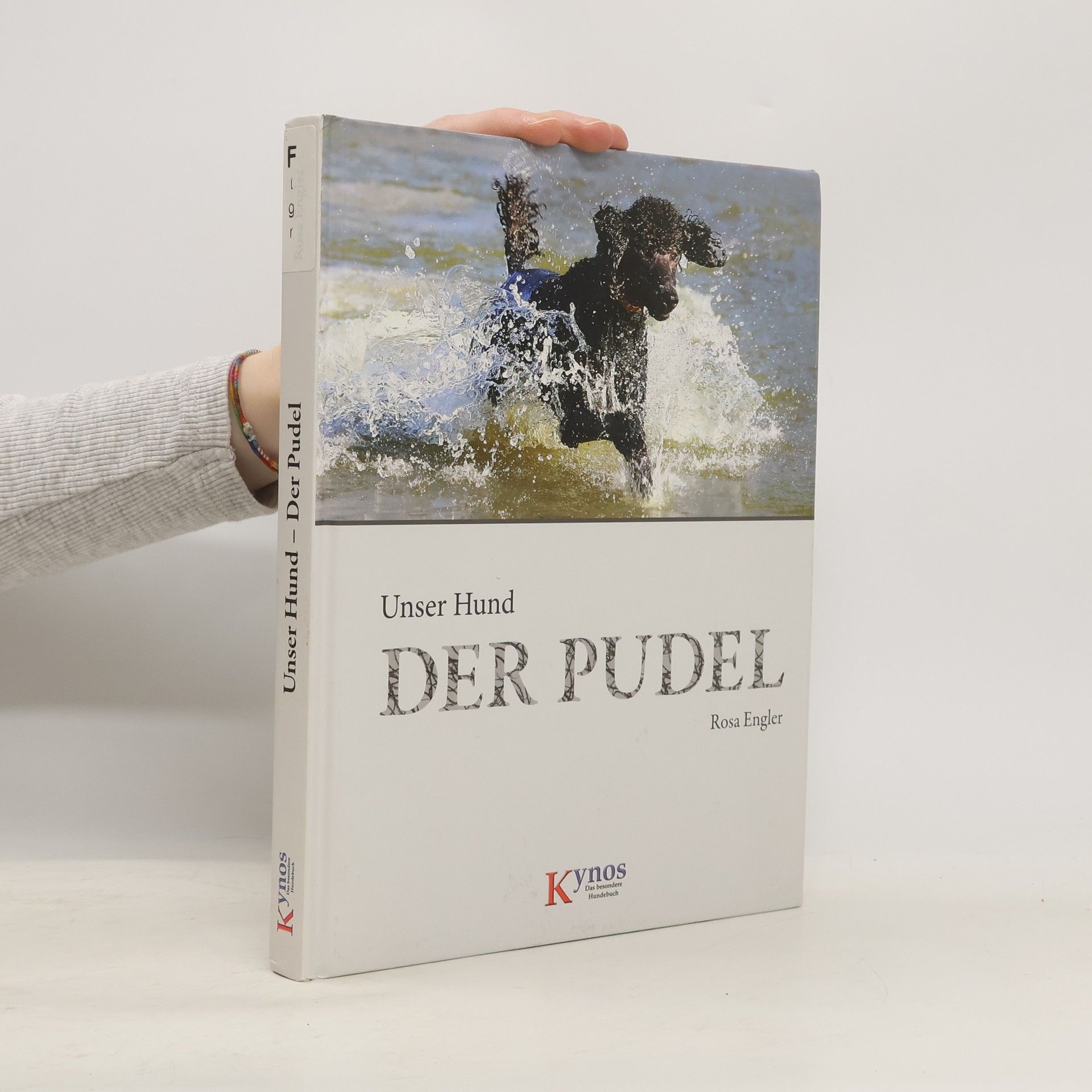 Der Pudel