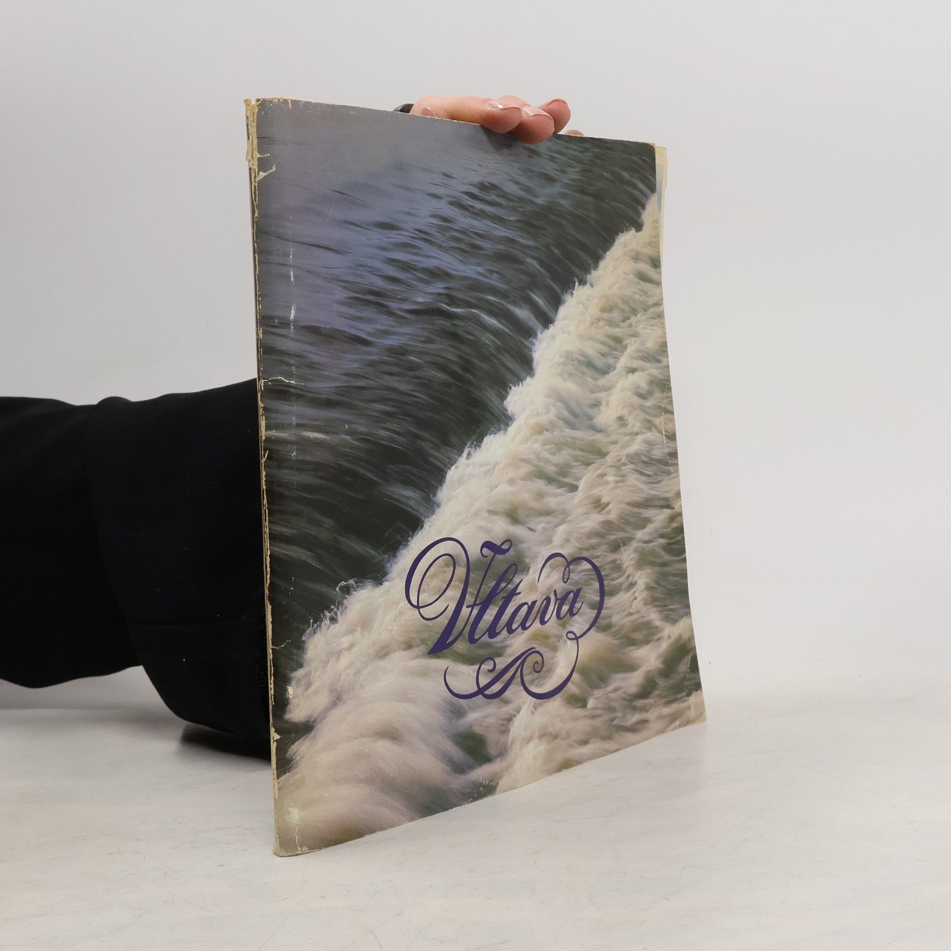 Karel Neubert Vltava