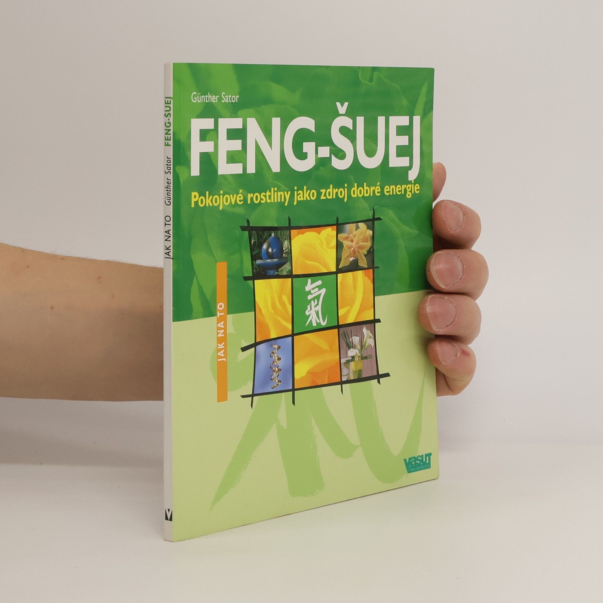 Günther Sator Feng-šuej : pokojové rostliny jako zdroj dobré energie