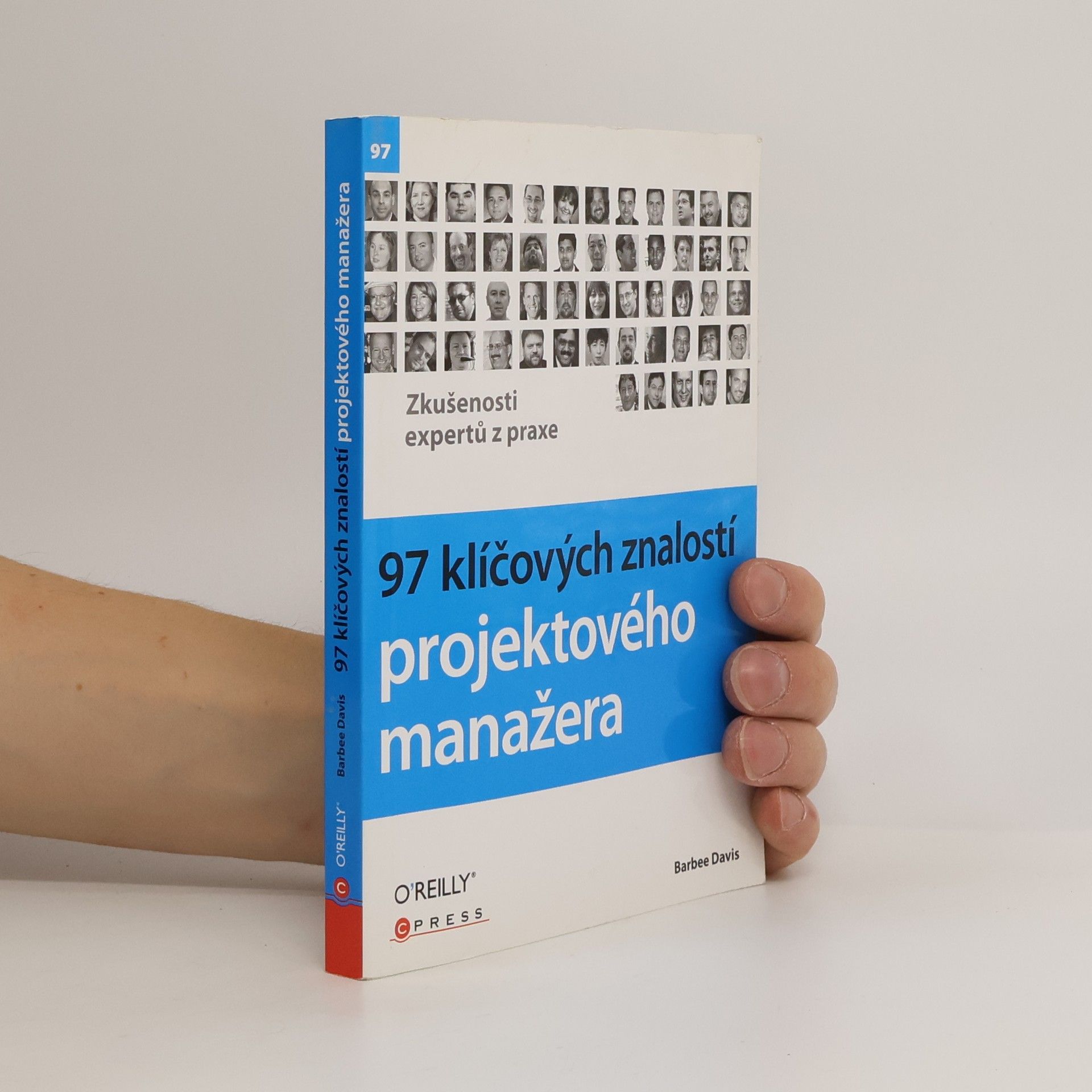 Barbee Davis 97 klíčových znalostí projektového manažera