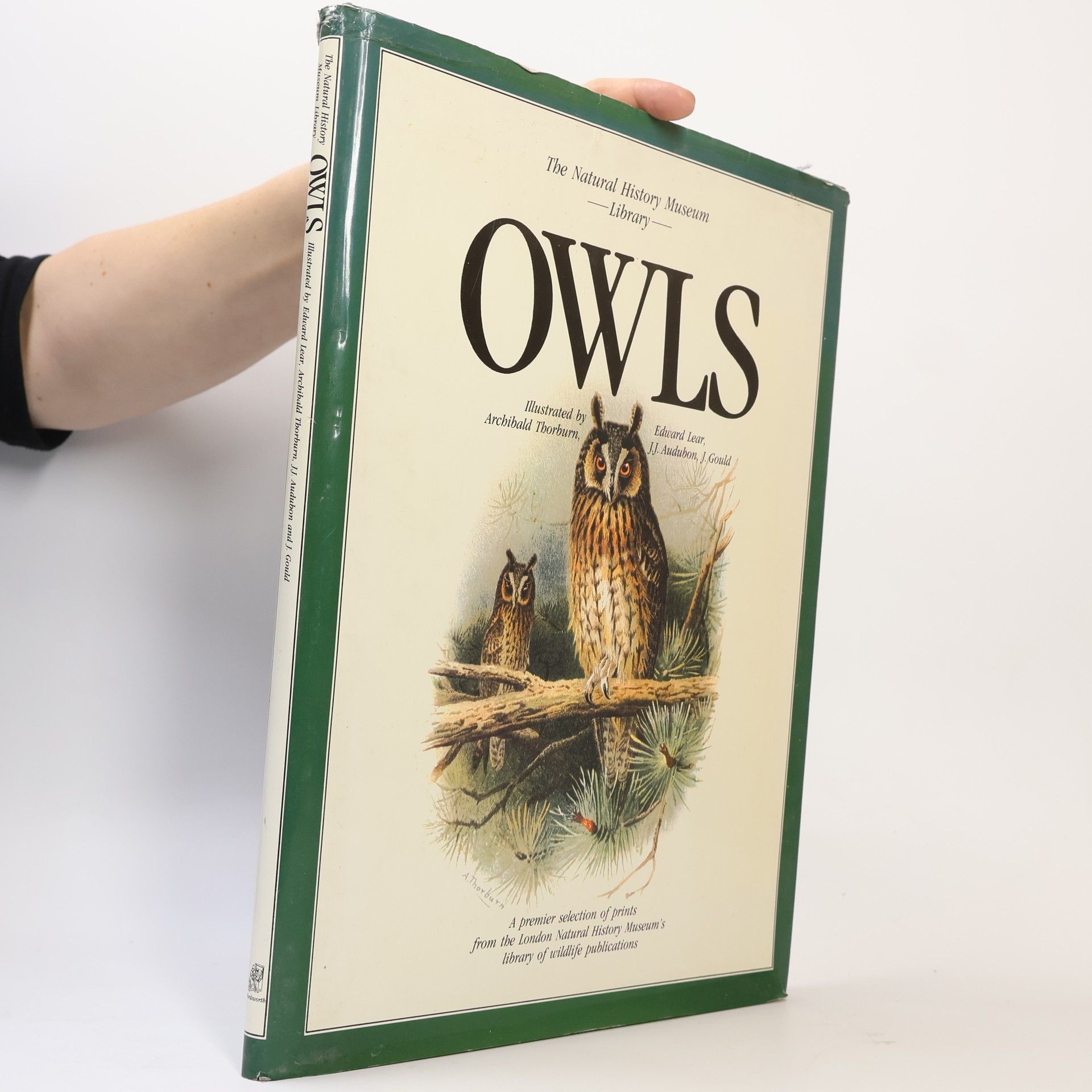 Archibald Thorburn The Natural History Museum Library: Owls