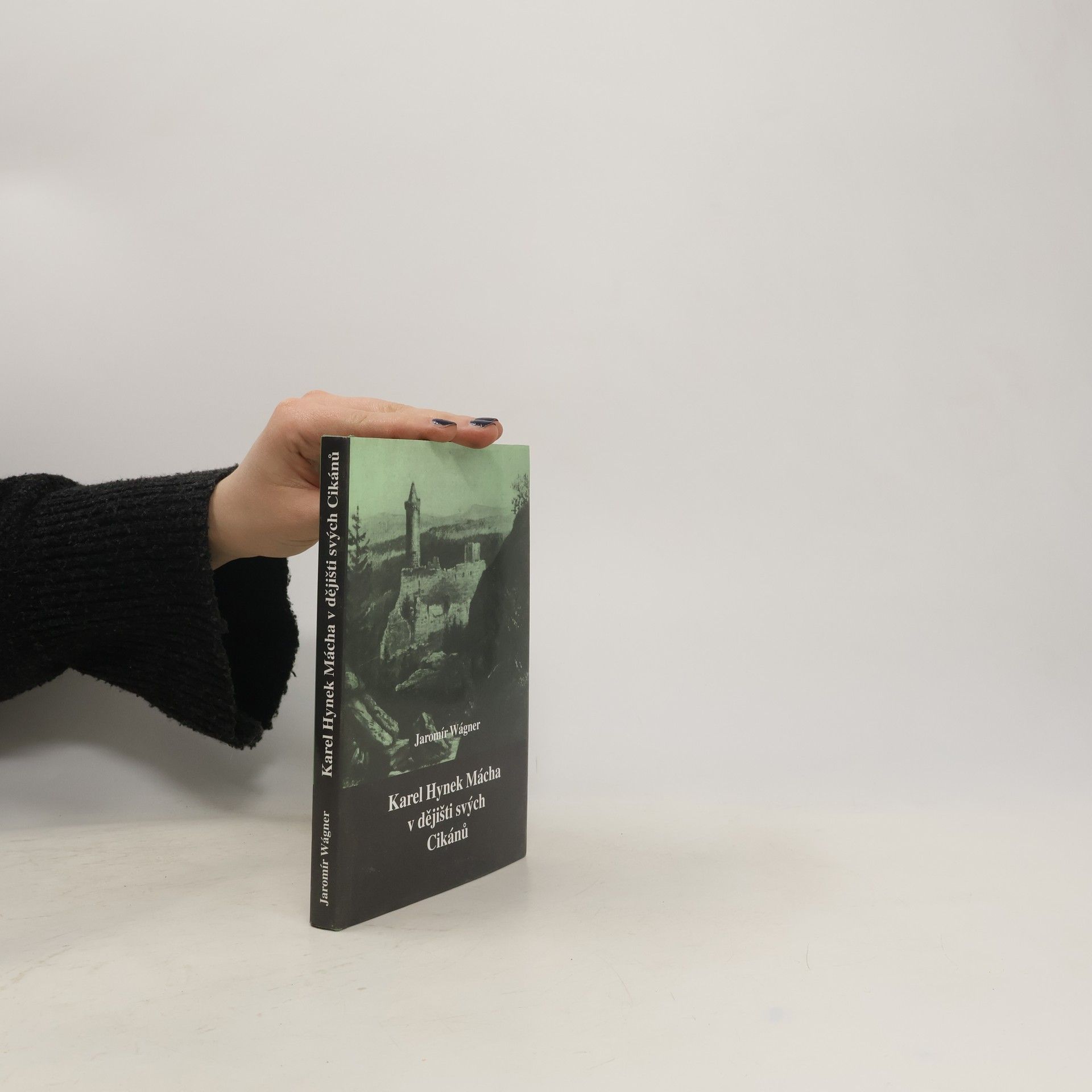 Jaromír Wágner Karel Hynek Mácha v dějišti svých Cikánů