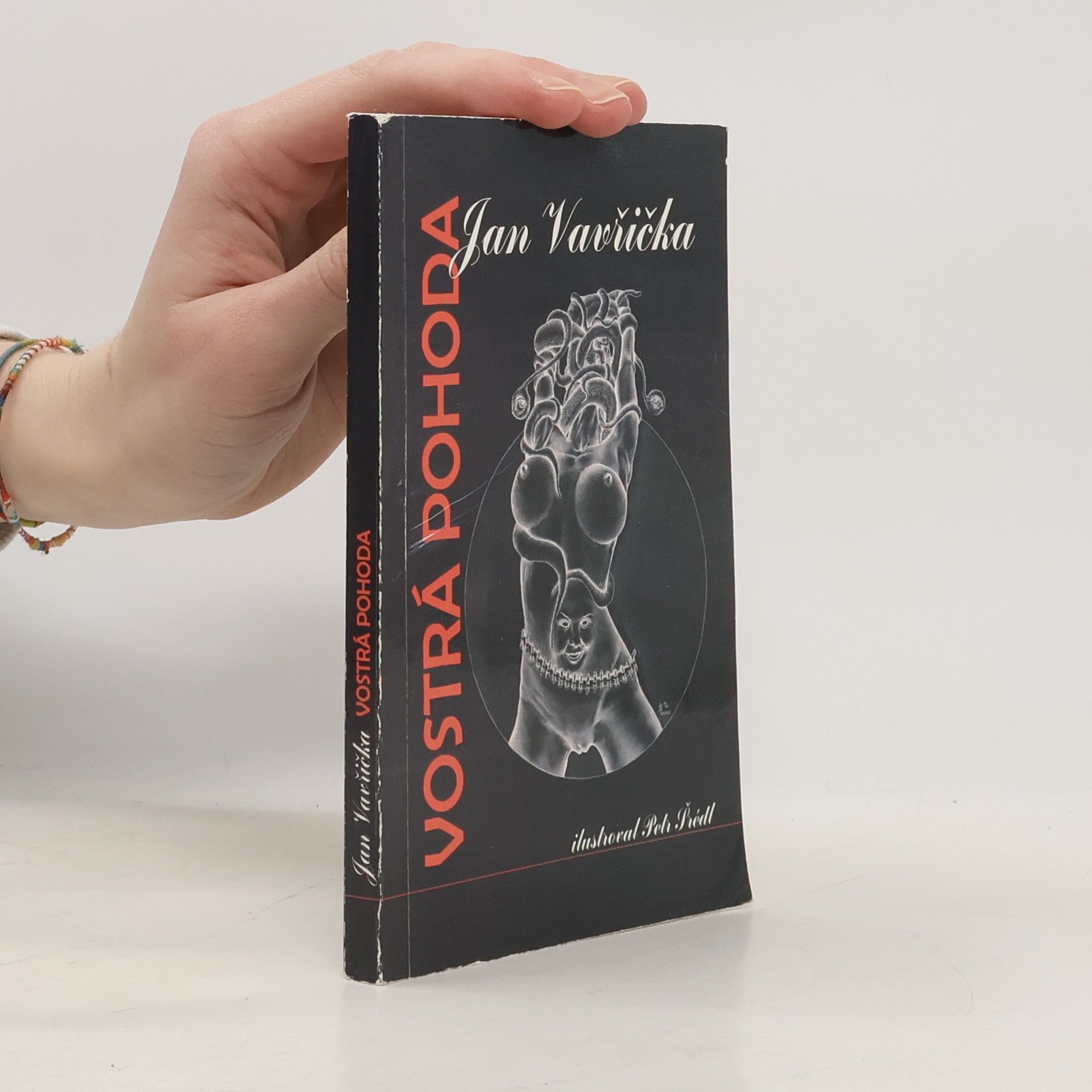 Jan Vavřička Vostrá pohoda