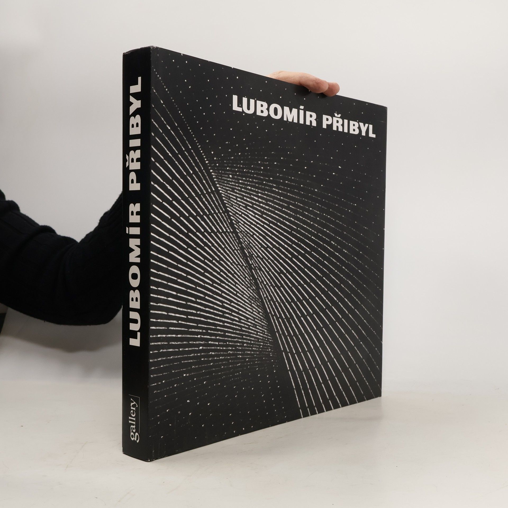 Jiri Valoch Lubomír Přibyl