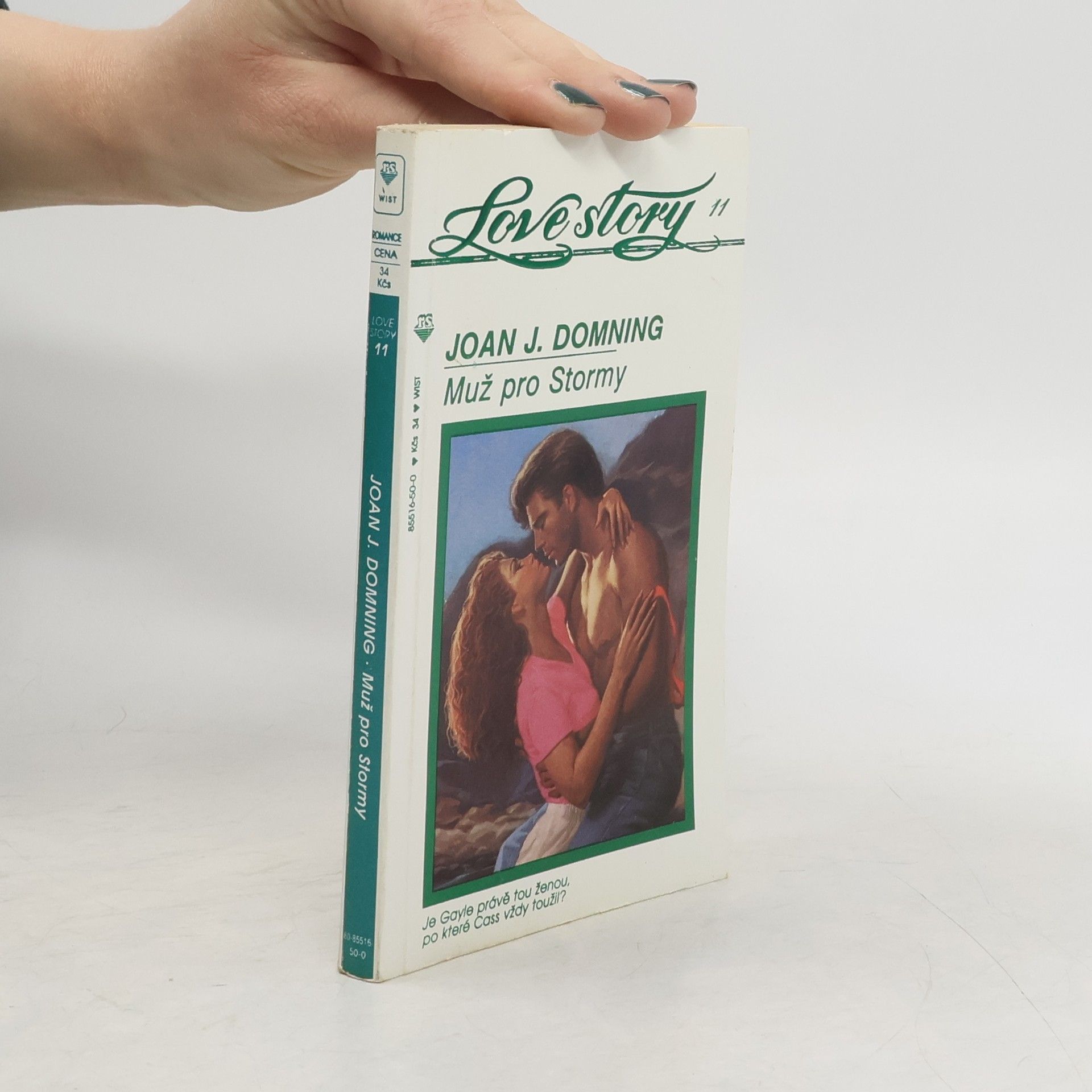 Joan J. Domning Muž pro Stormy