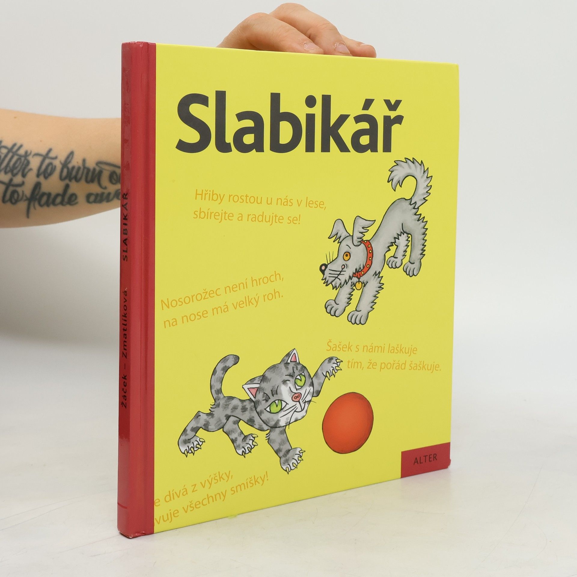 Slabikář : učebnice pro vzdělávací obor Český jazyk a literatura