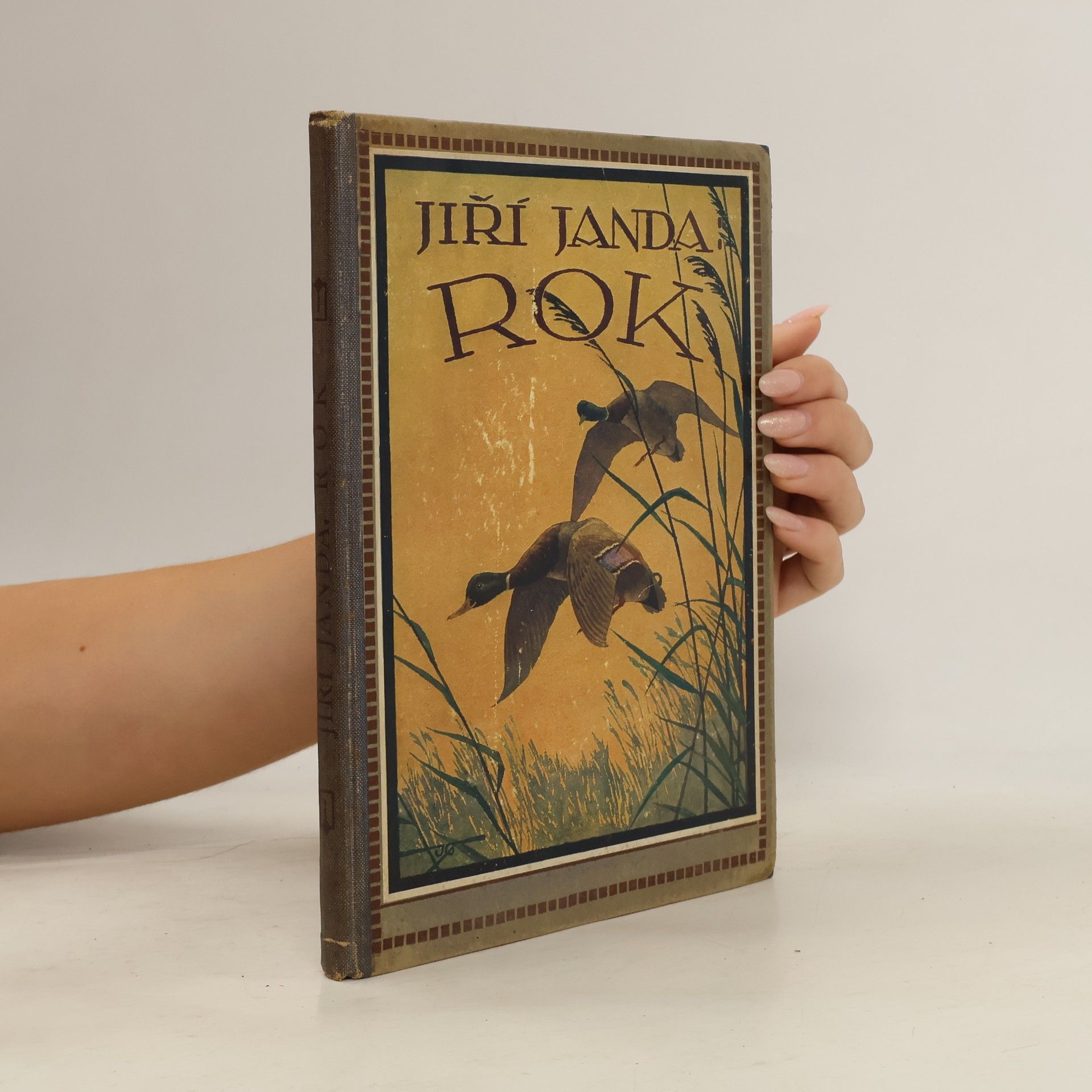 Jiří Janda Rok. Obrázky z přírody