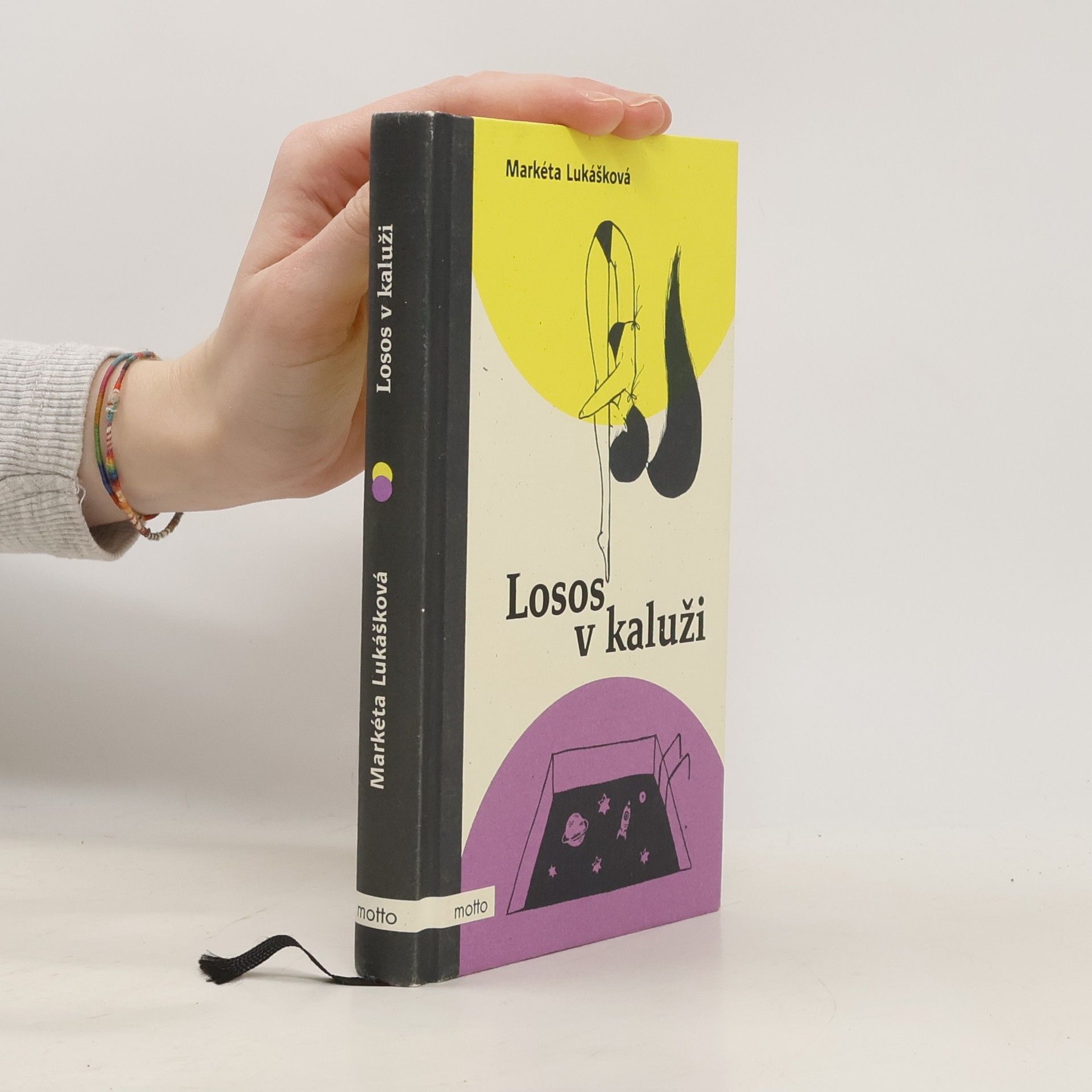 Markéta Lukášková Losos v kaluži