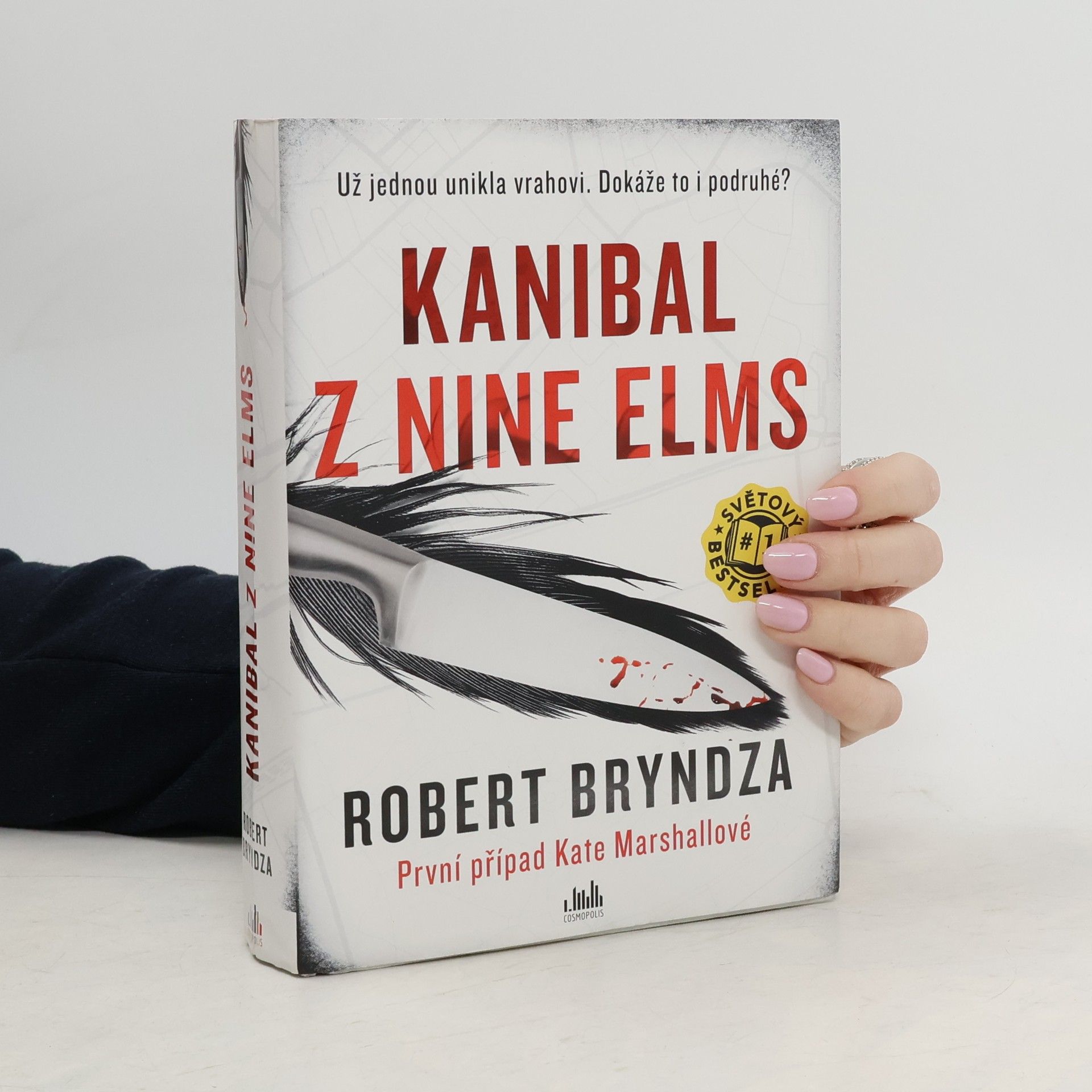 Robert Bryndza Kanibal z Nine Elms