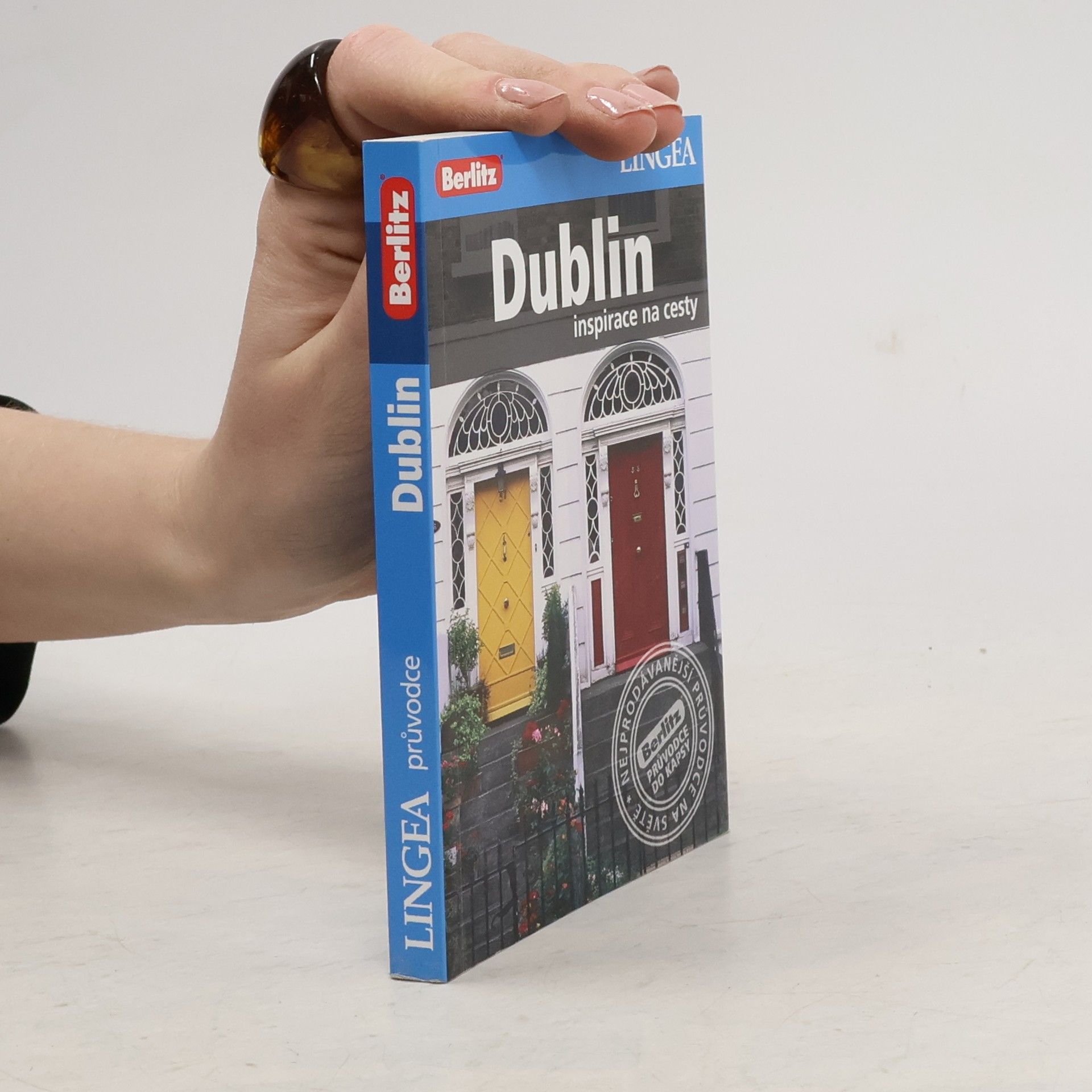 Kolektiv autorů Dublin