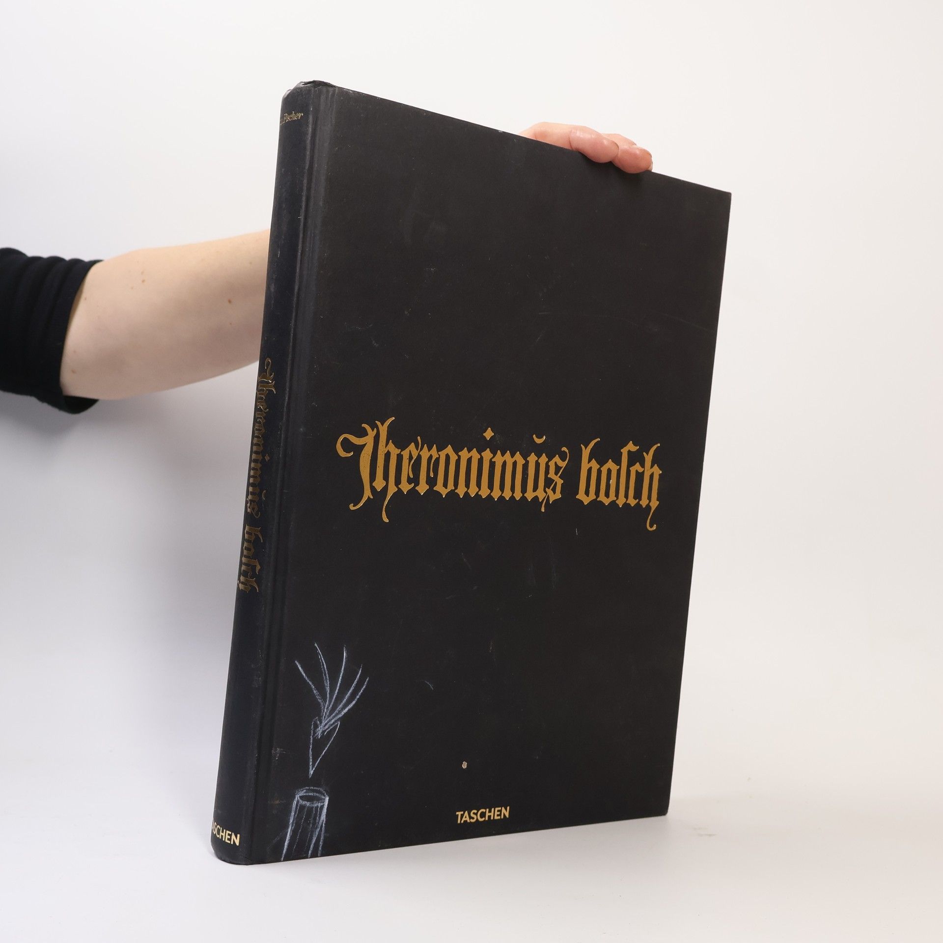 Kolektiv autorů Jheronimus Bosch