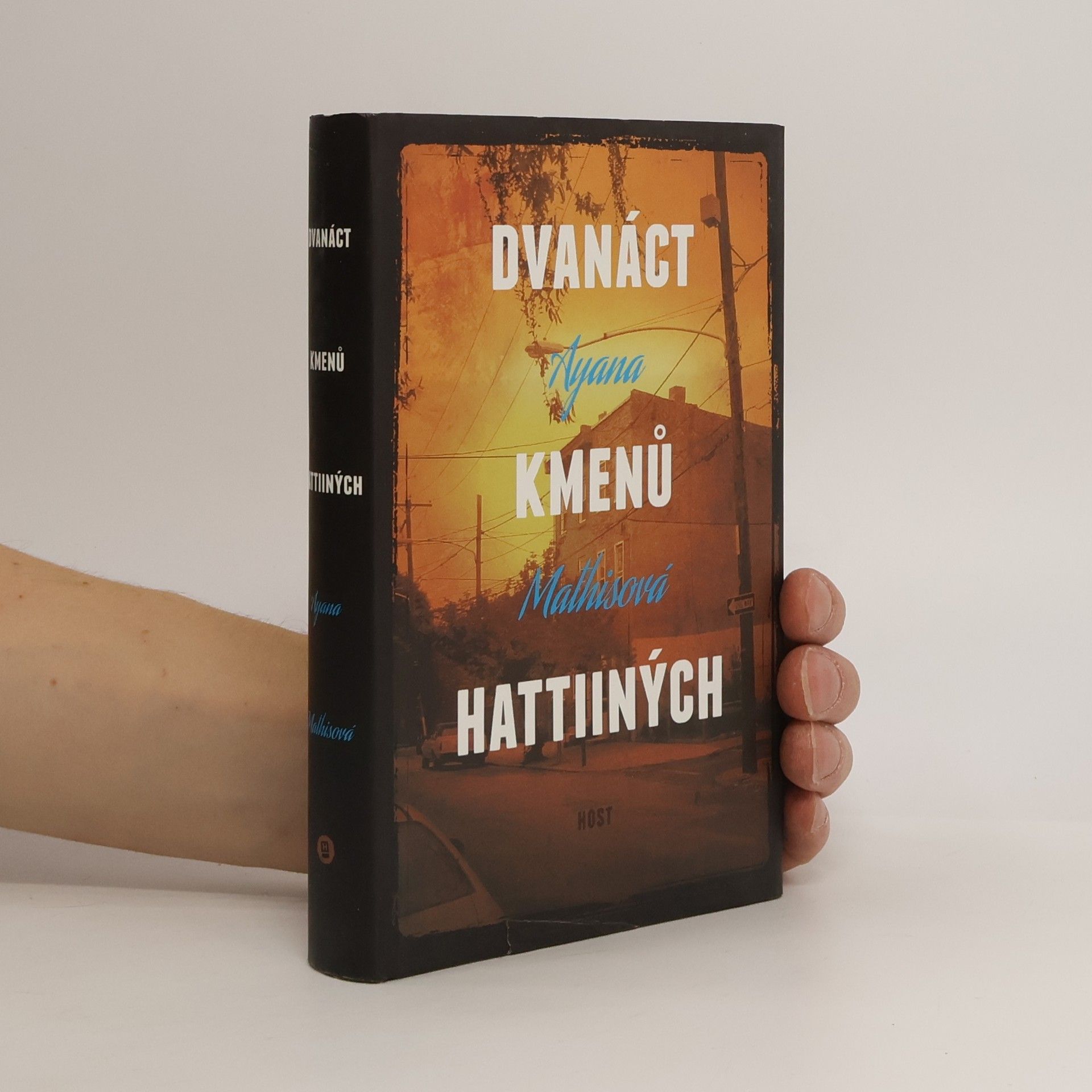 Ayana Mathis Dvanáct kmenů Hattiiných
