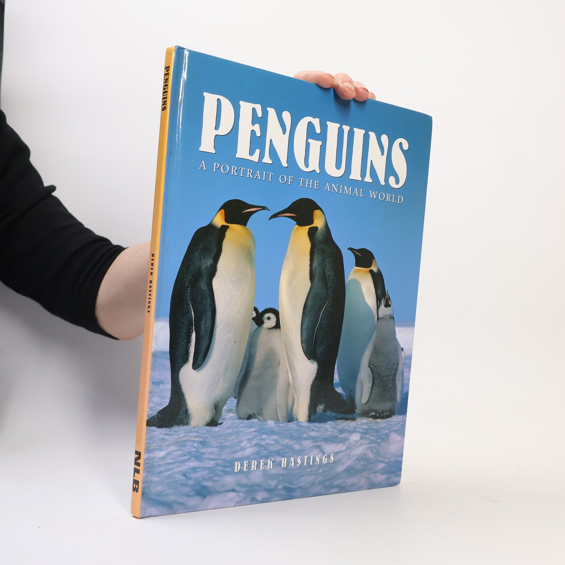 Derek Hastings Penguins