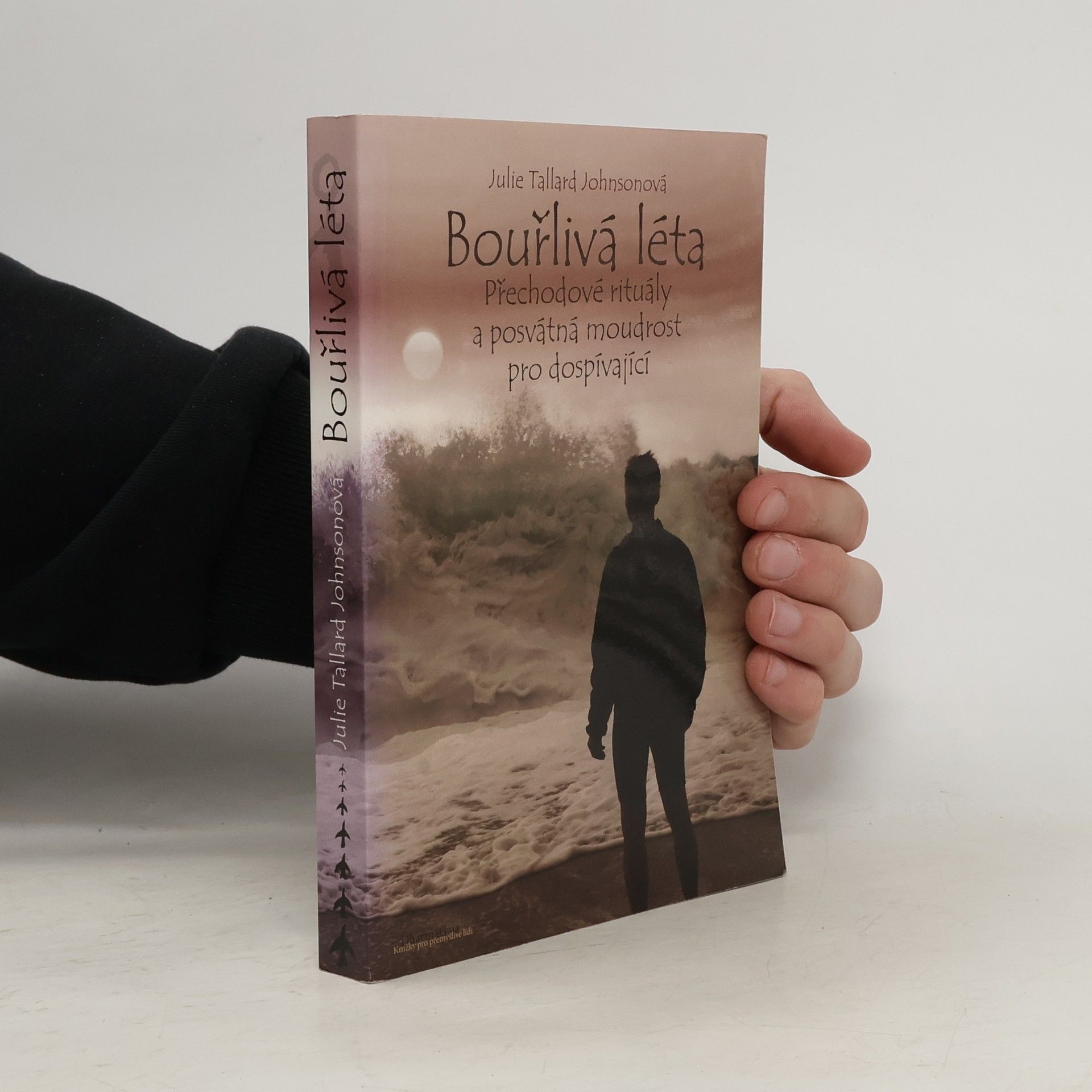 Julie Tallard Johnson Bouřlivá léta