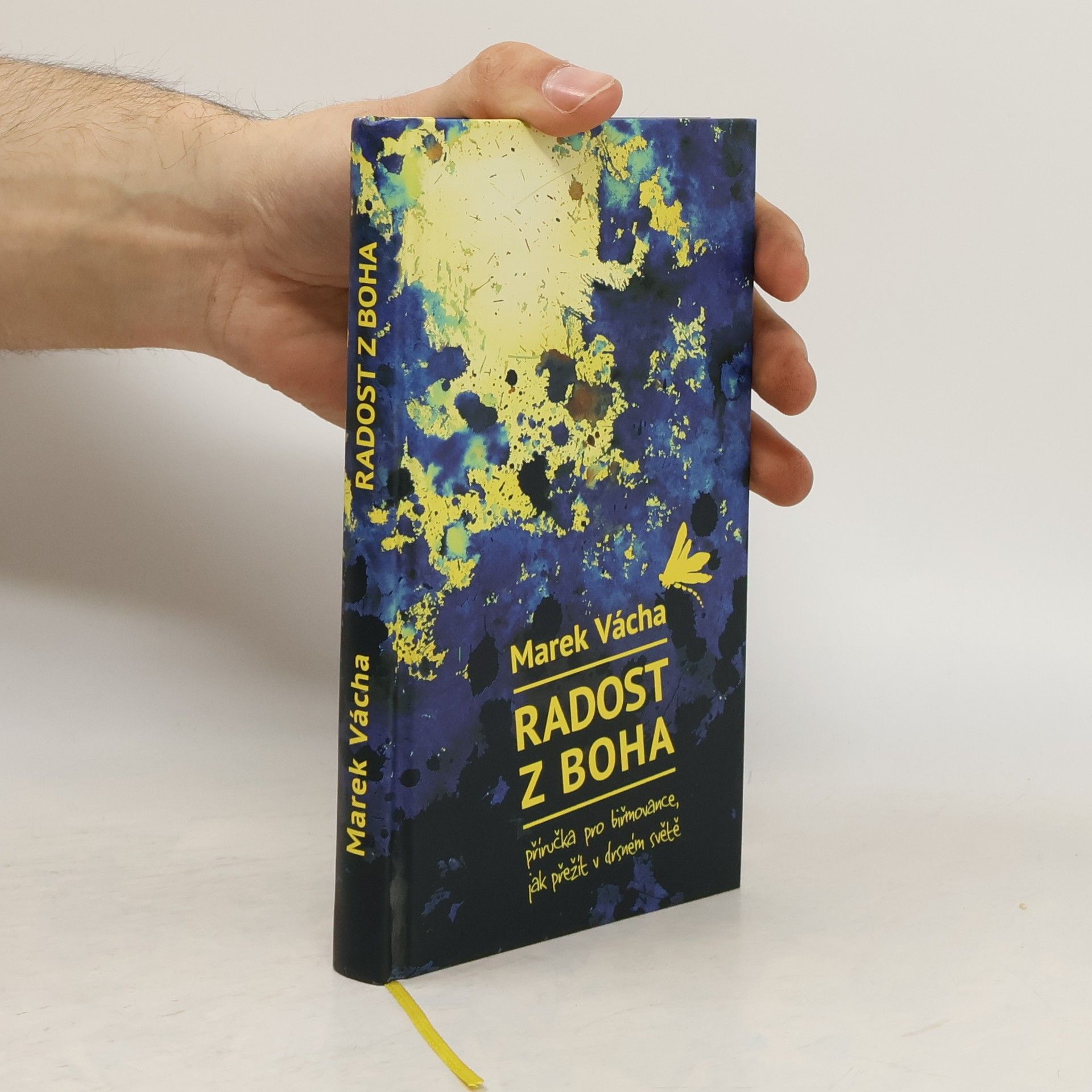 Marek Vácha Radost z Boha. Příručka pro biřmovance, jak přežít v drsném světě