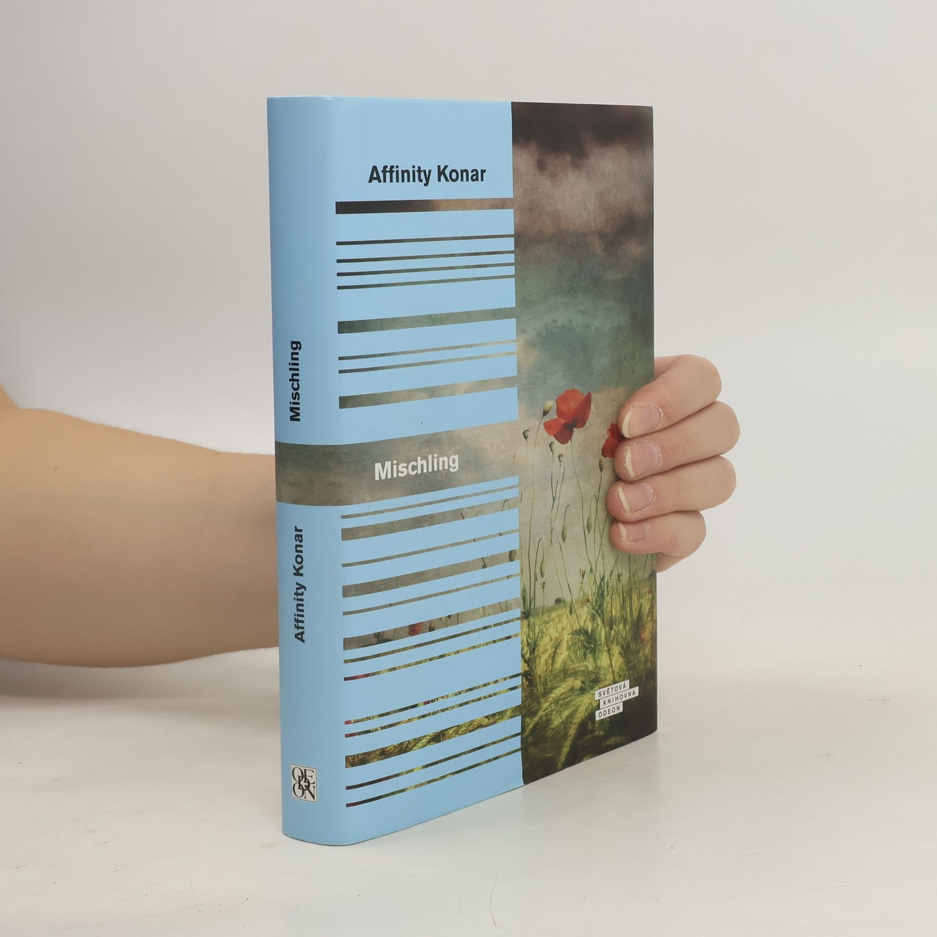 Affinity Konar Mischling