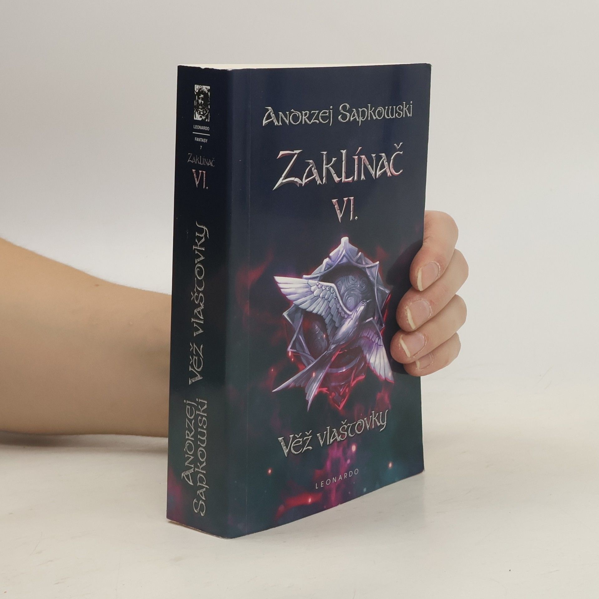 Andrzej Sapkowski Zaklínač. VI., Věž vlaštovky