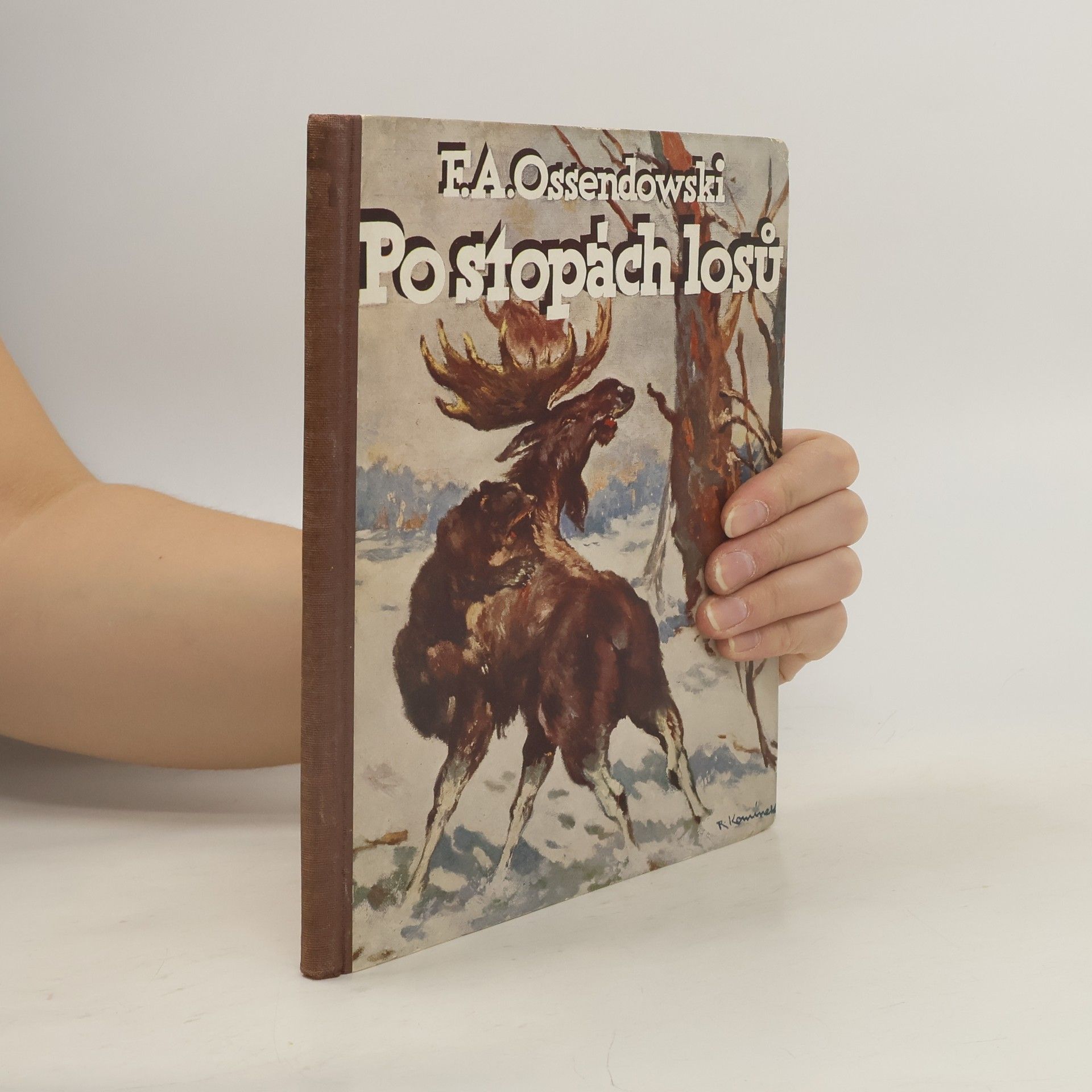 Ferdynand Antoni Ossendowski Po stopách losů