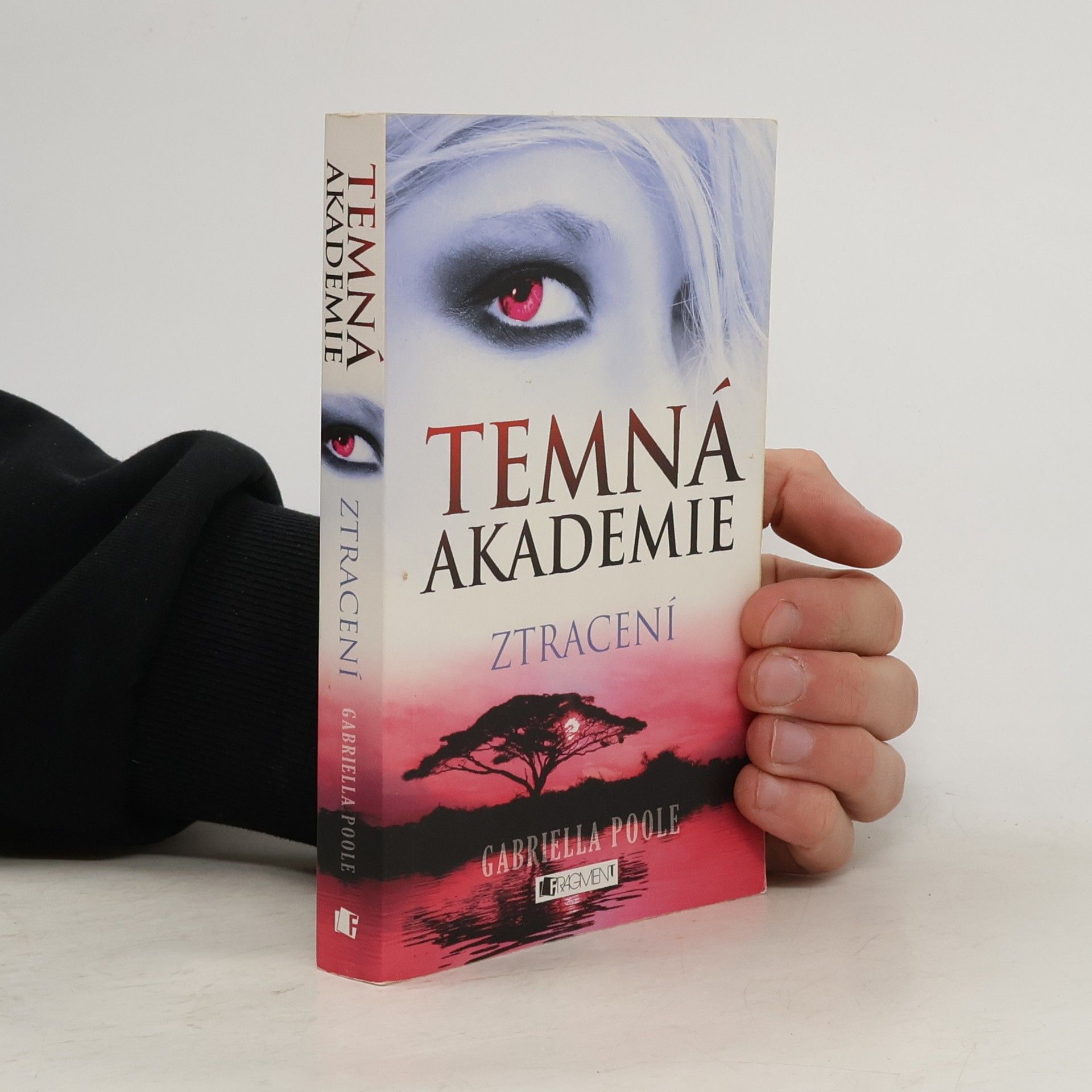 Temná akademie. Ztracení