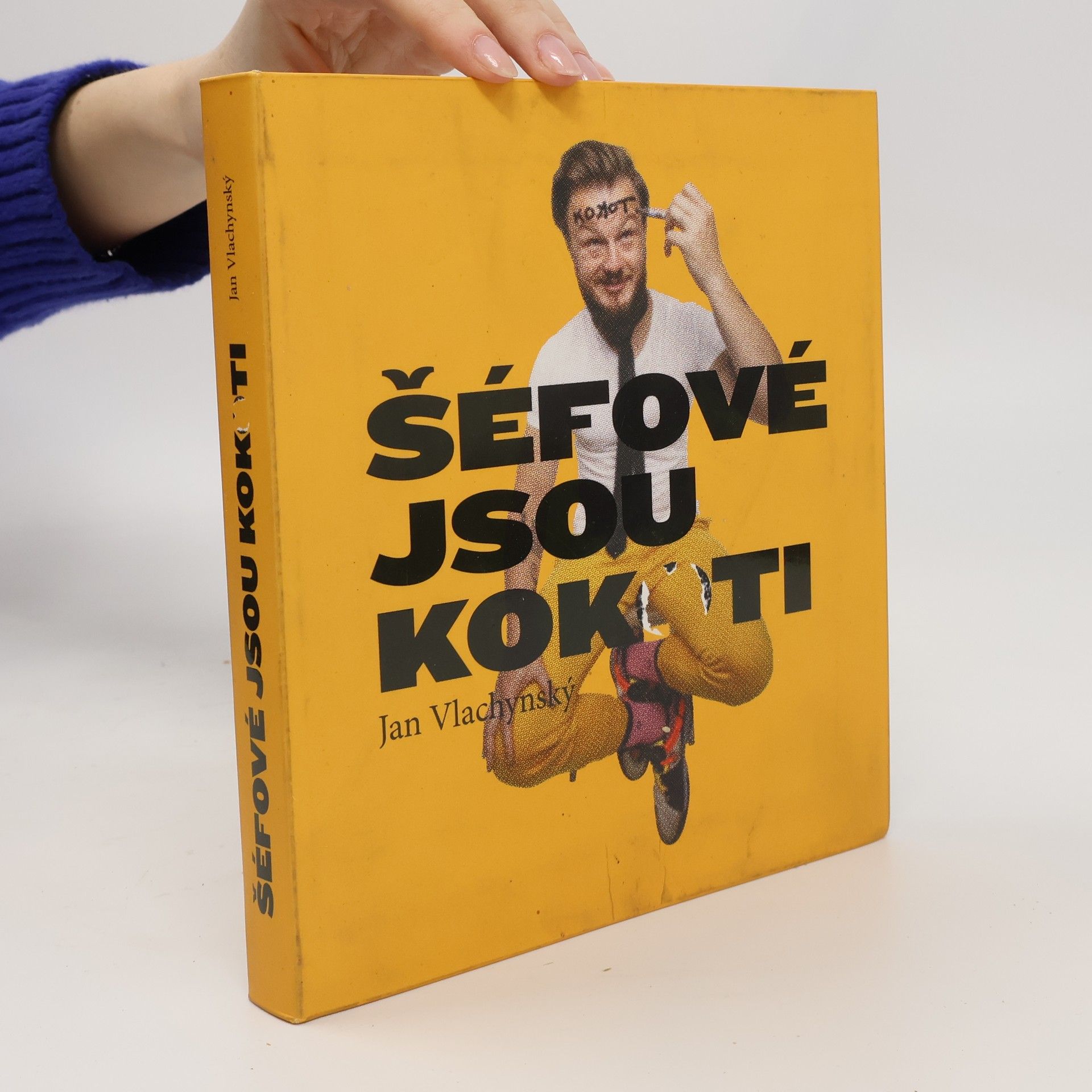 Jan Vlachynský Šéfové jsou kokoti