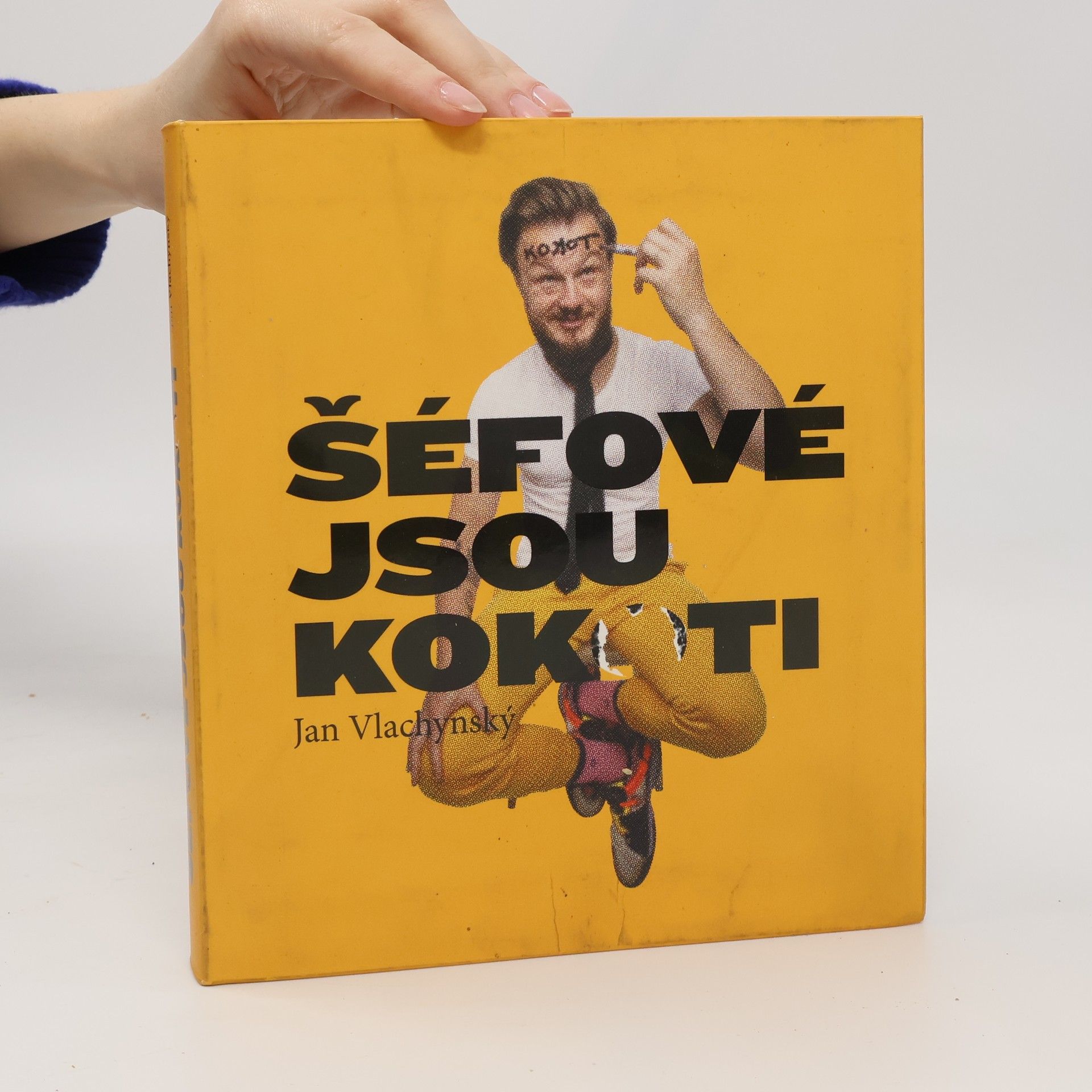 Jan Vlachynský Šéfové jsou kokoti