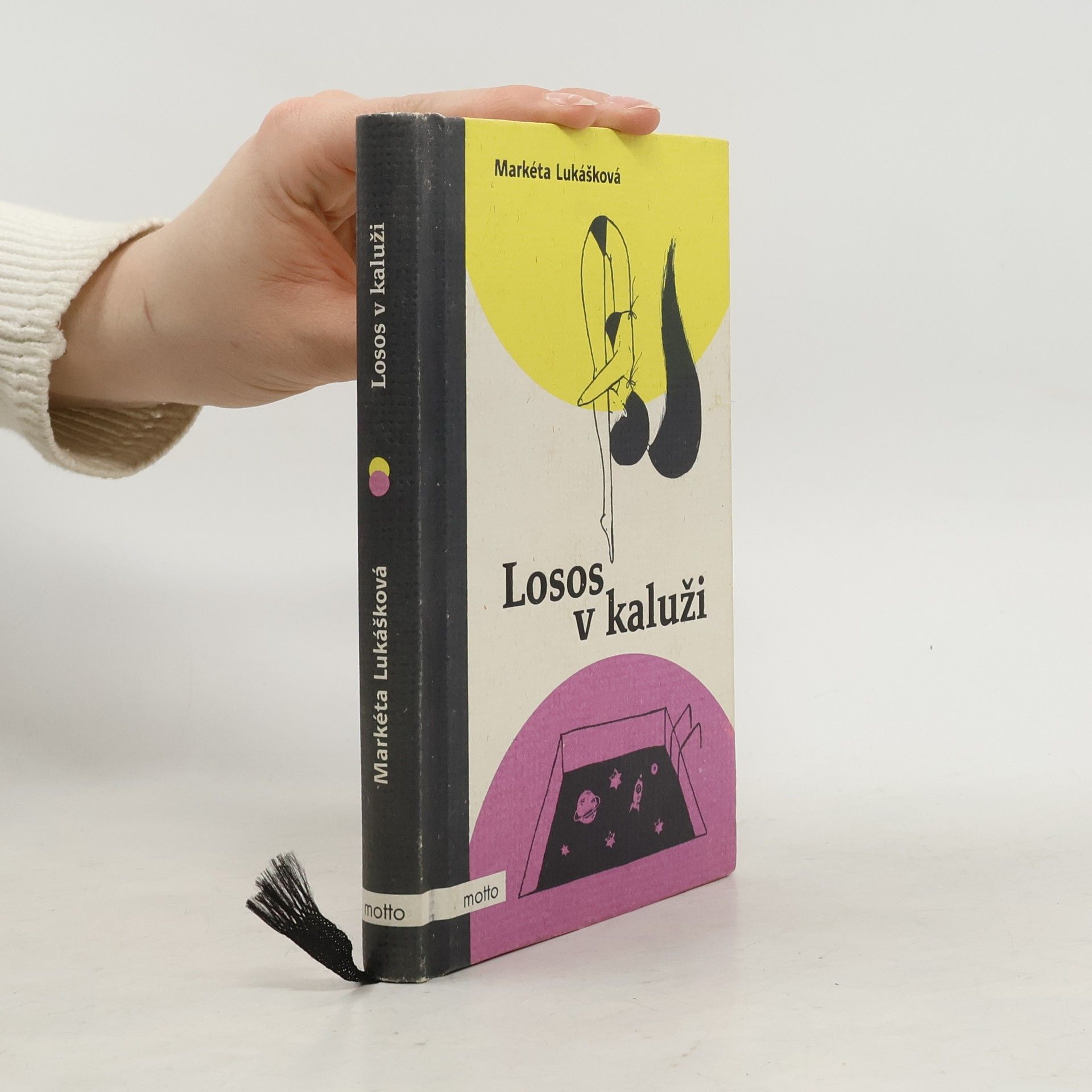 Markéta Lukášková Losos v kaluži