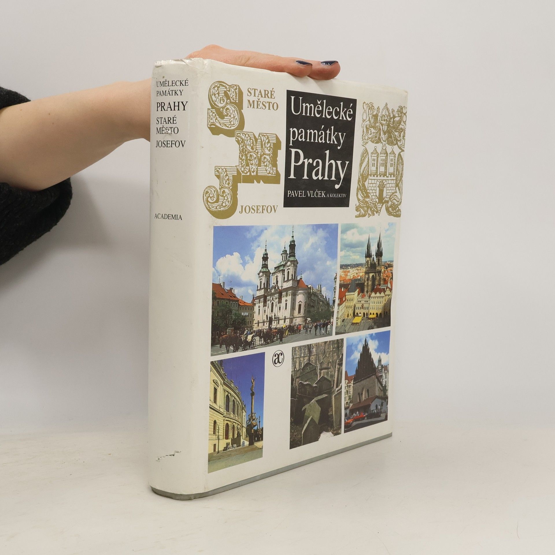 Pavel Vlček Umělecké památky Prahy. Staré město - Josefov.