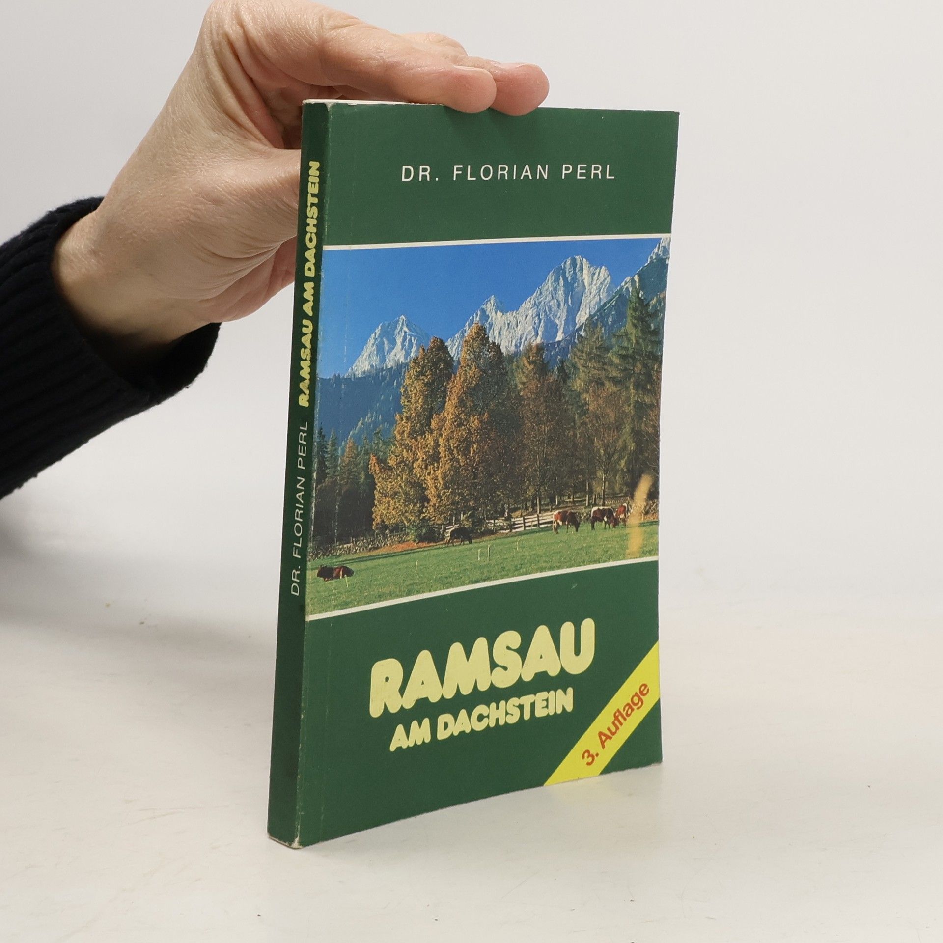 Florian Perl Ramsau am Dachstein