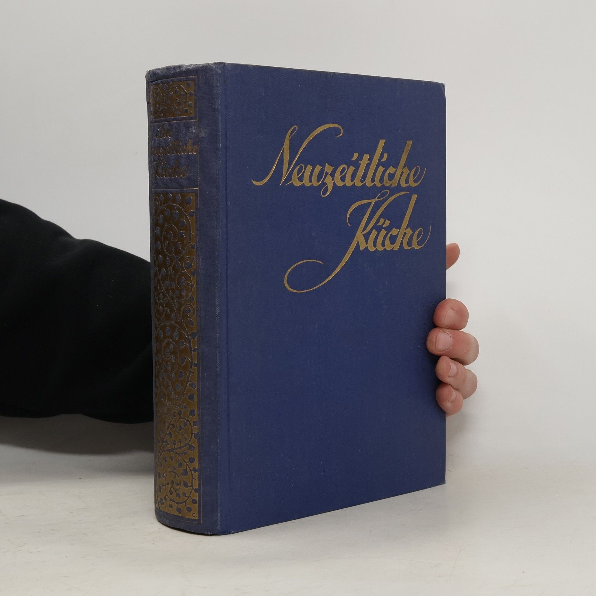 Rudolf Zach Die neuzeitliche Küche