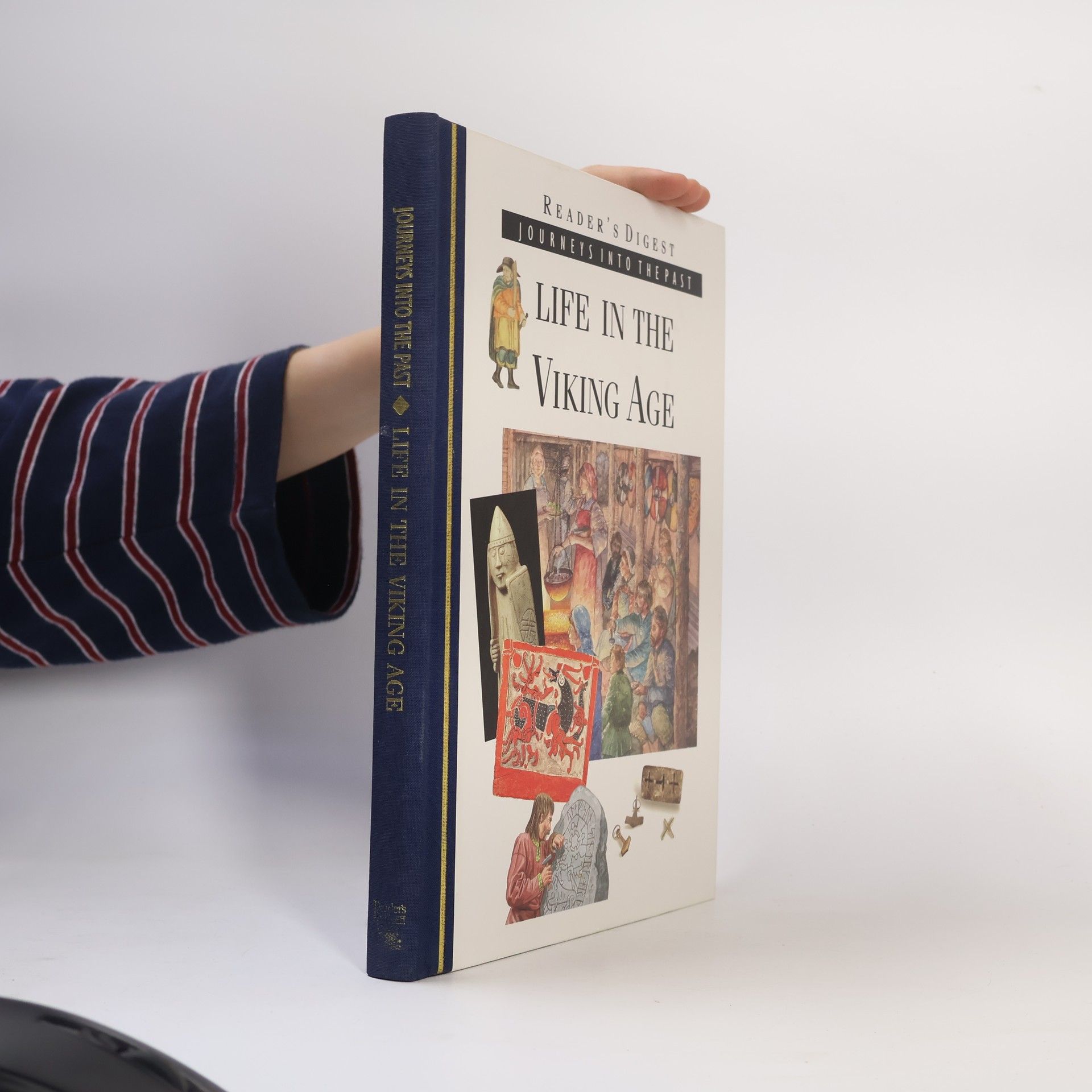 Tim Healey Life in the Viking Age