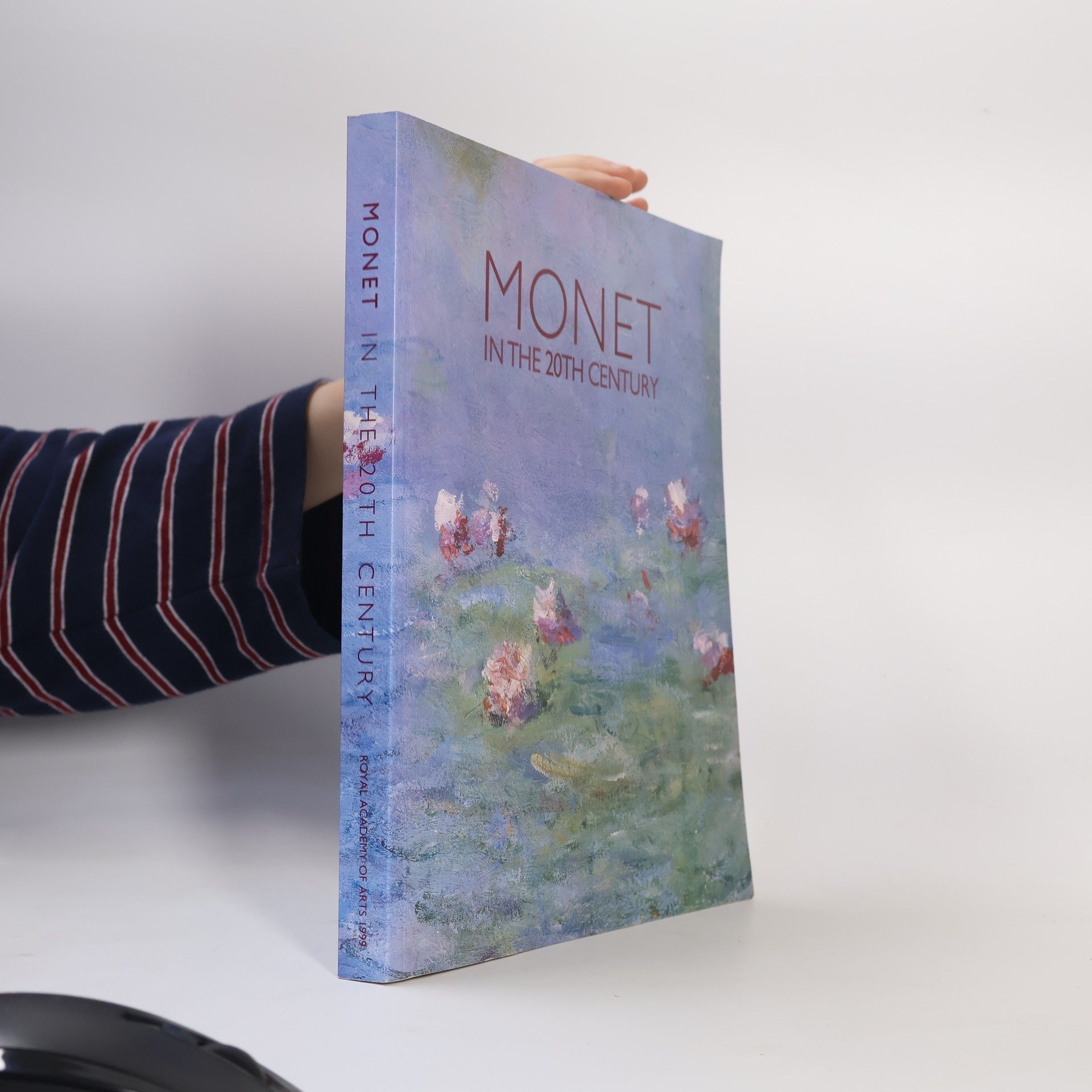 Kolektiv autorů Monet in the 20th Century