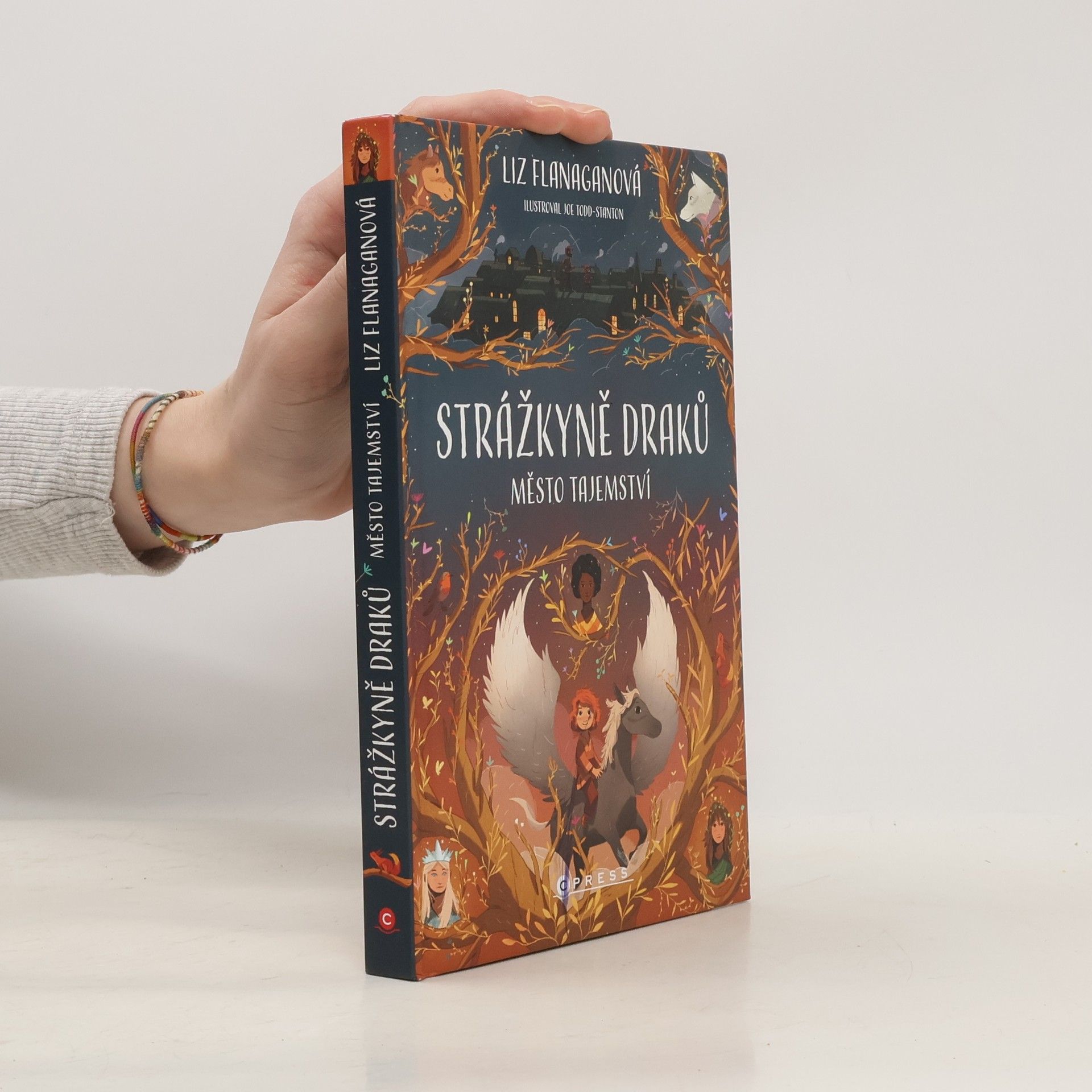 Liz Flanagan Strážkyně draků. Město tajemství