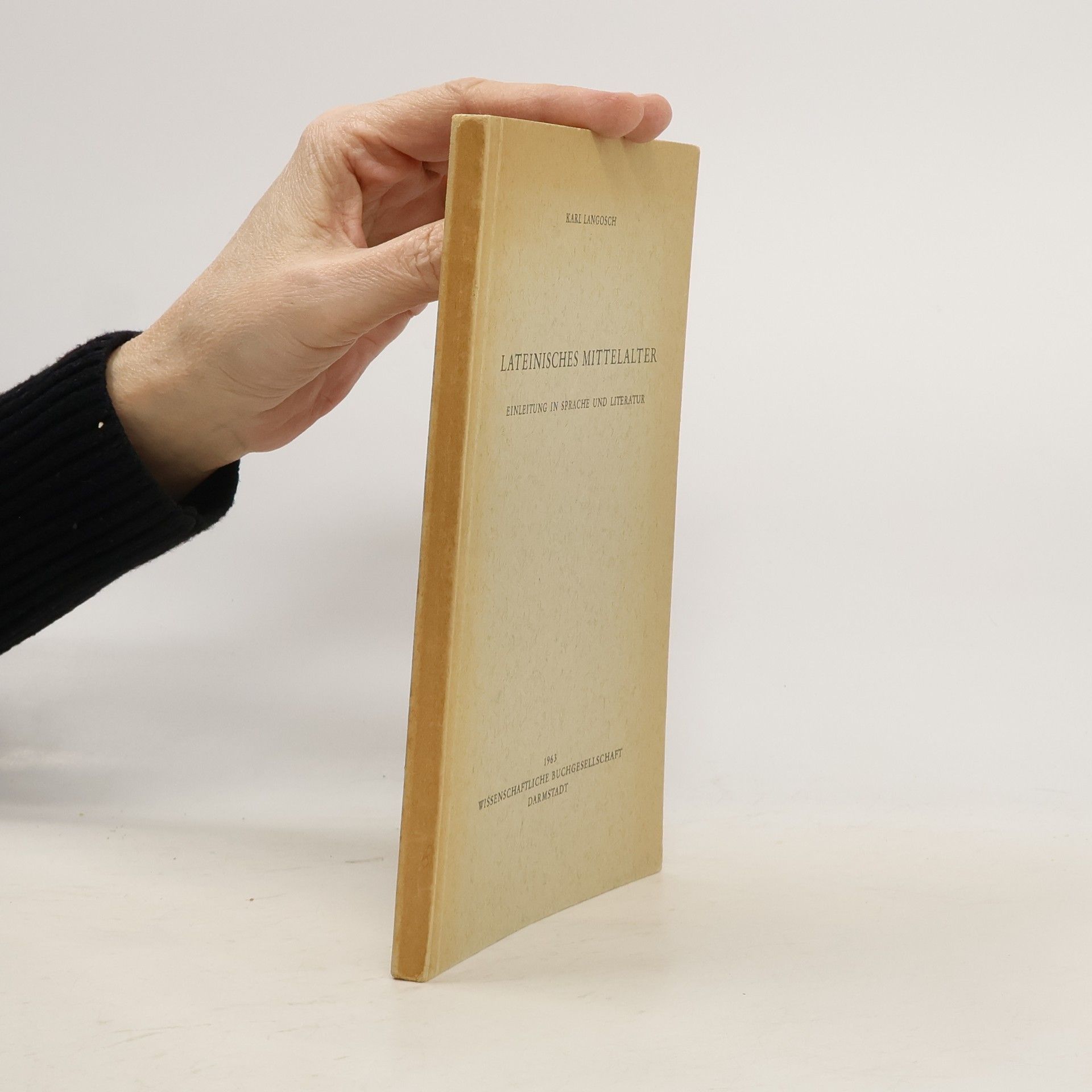 Lateinisches Mittelalter