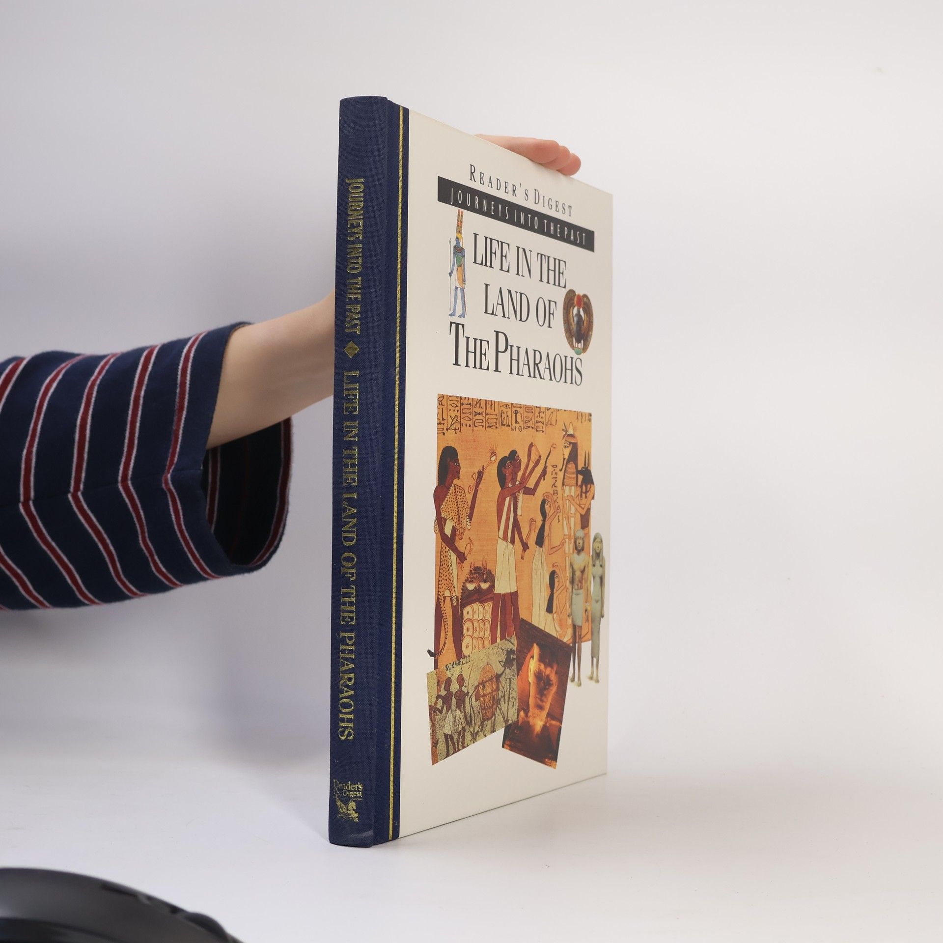 Tim Healey Life in the Land of the Pharaohs