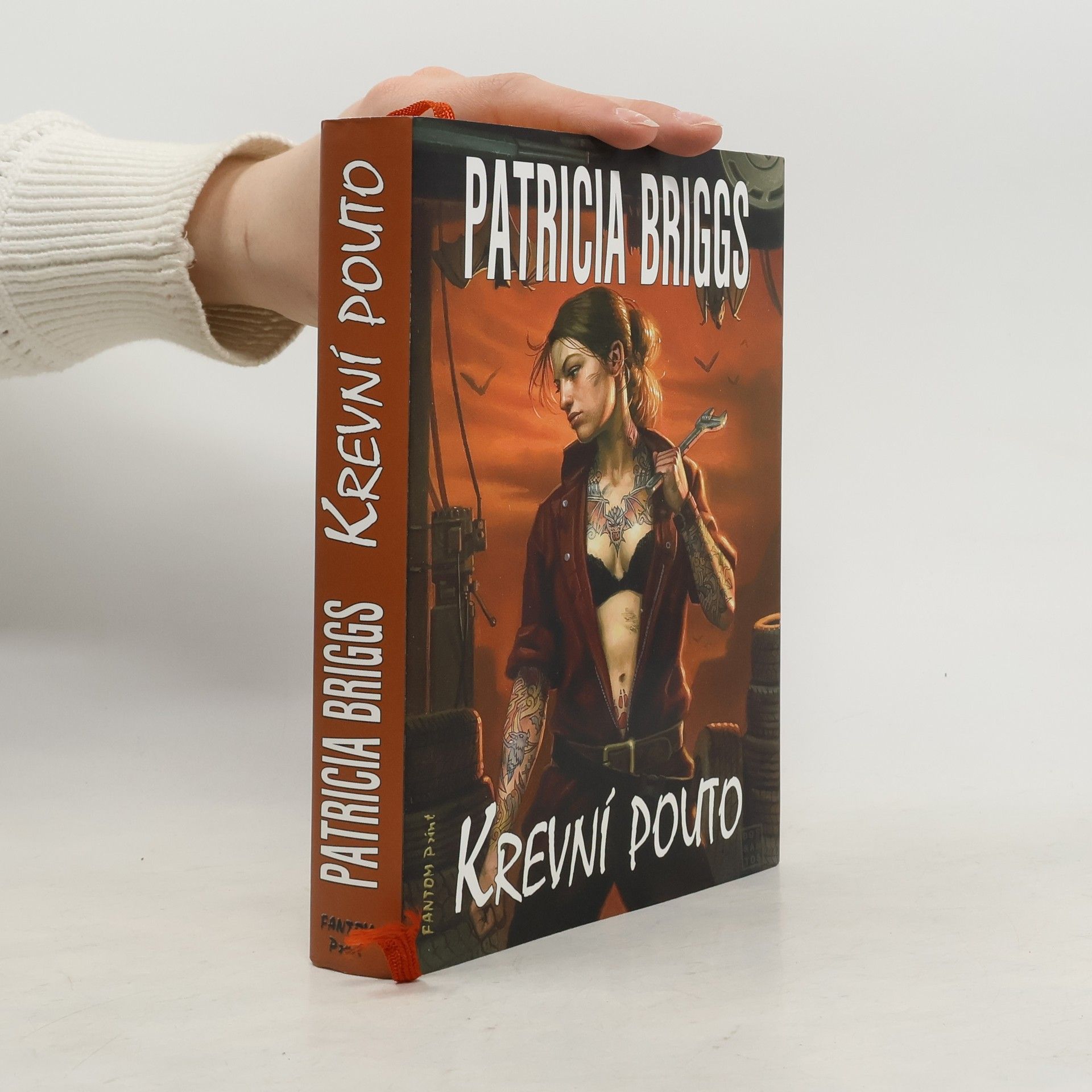 Patricia Briggs Krevní pouto