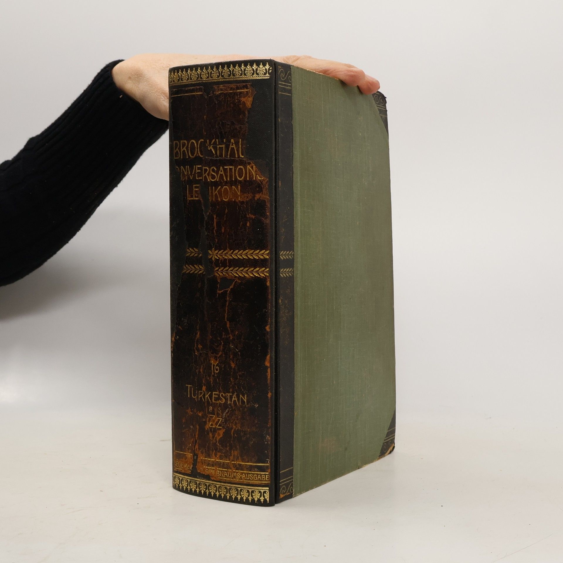 Various authors Brockhaus' Konversations-Lexikon 16