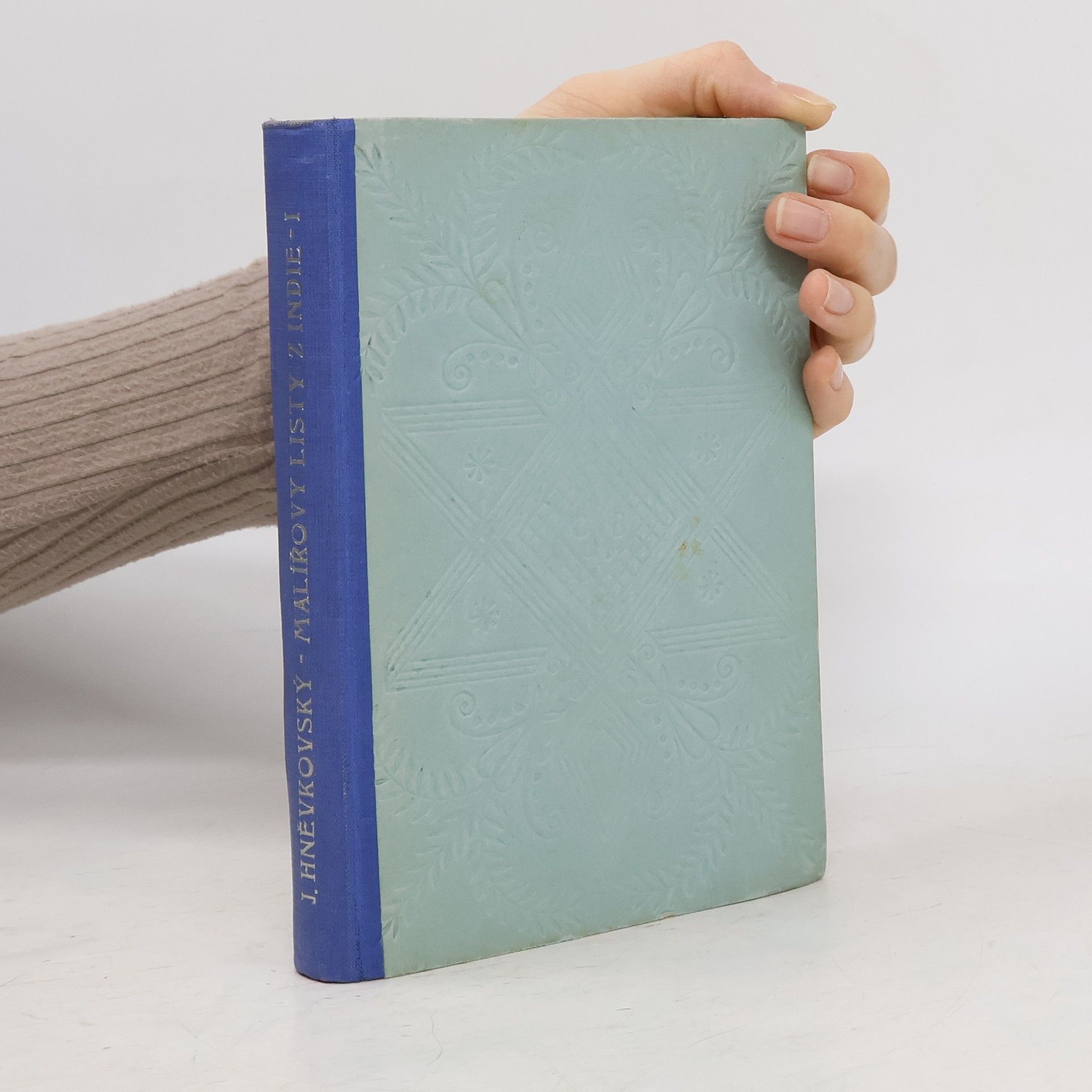 Jaroslav Hněvkovský Malířovy listy z Indie