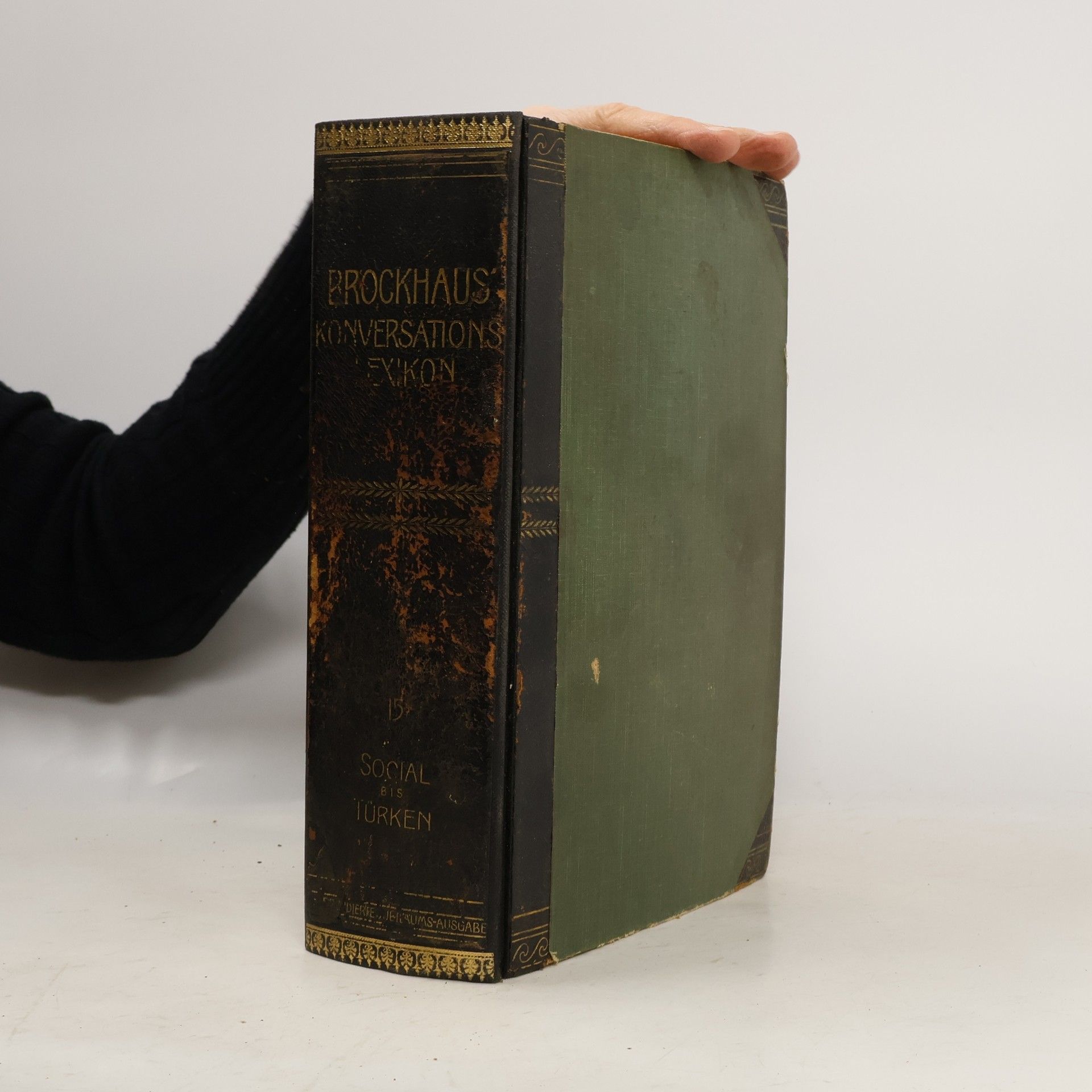 Various authors Brockhaus' Konversations-Lexikon 15