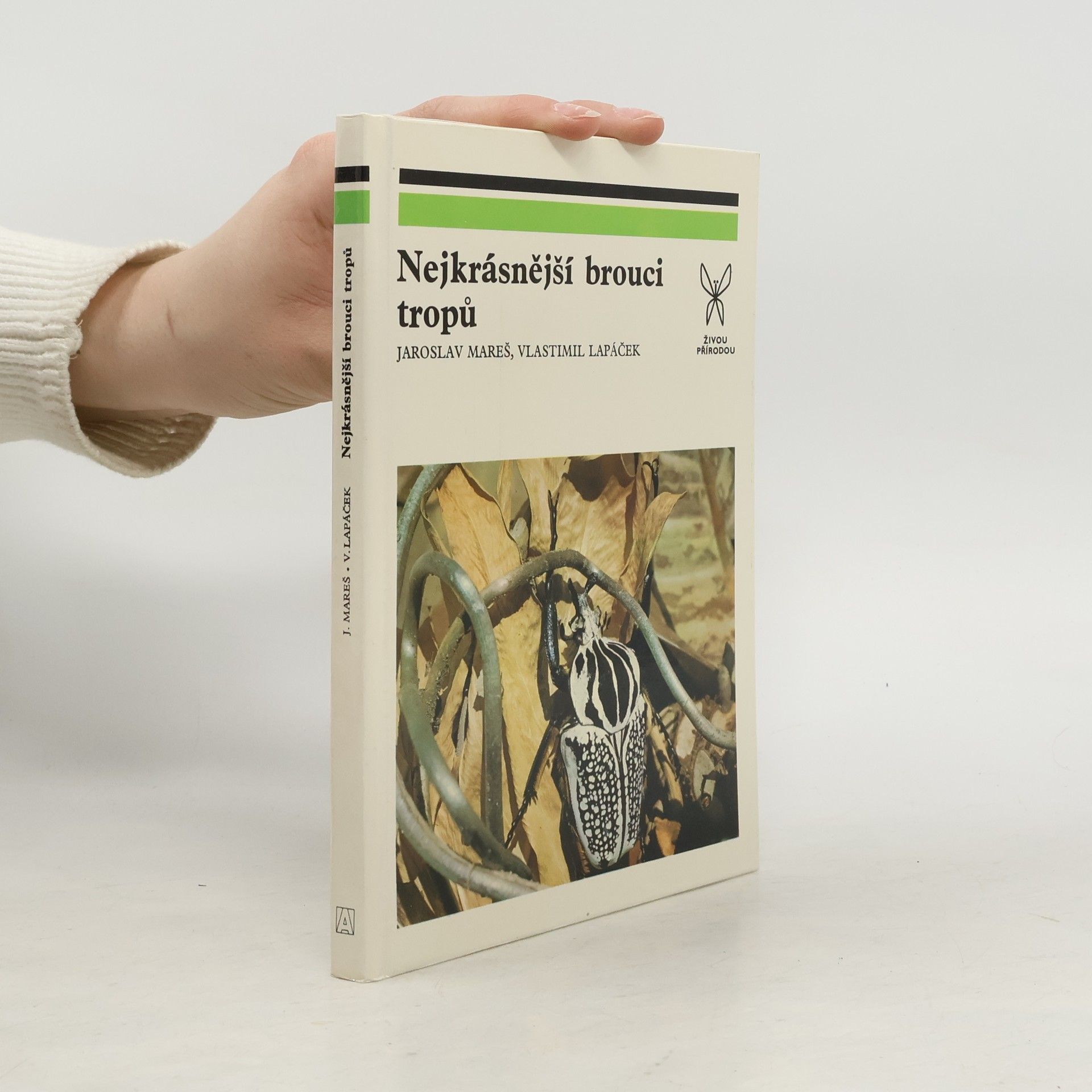 Nejkrásnější brouci tropů