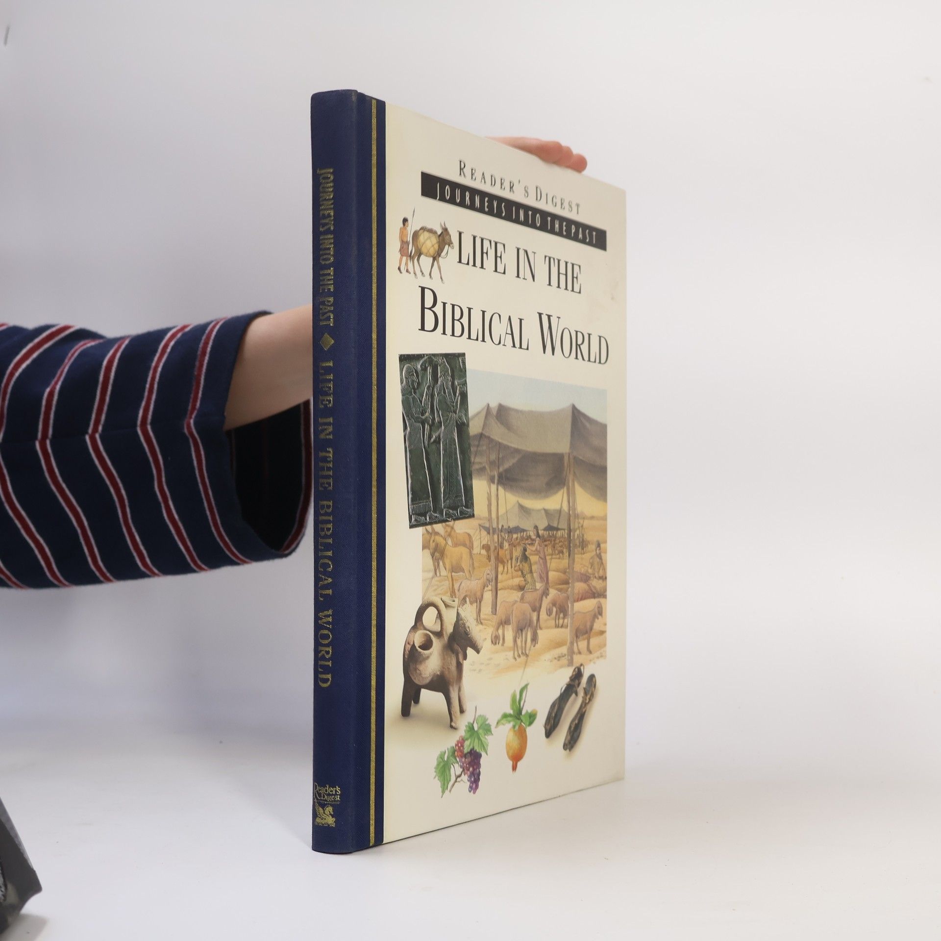 Richard Walker Life in the Biblical World