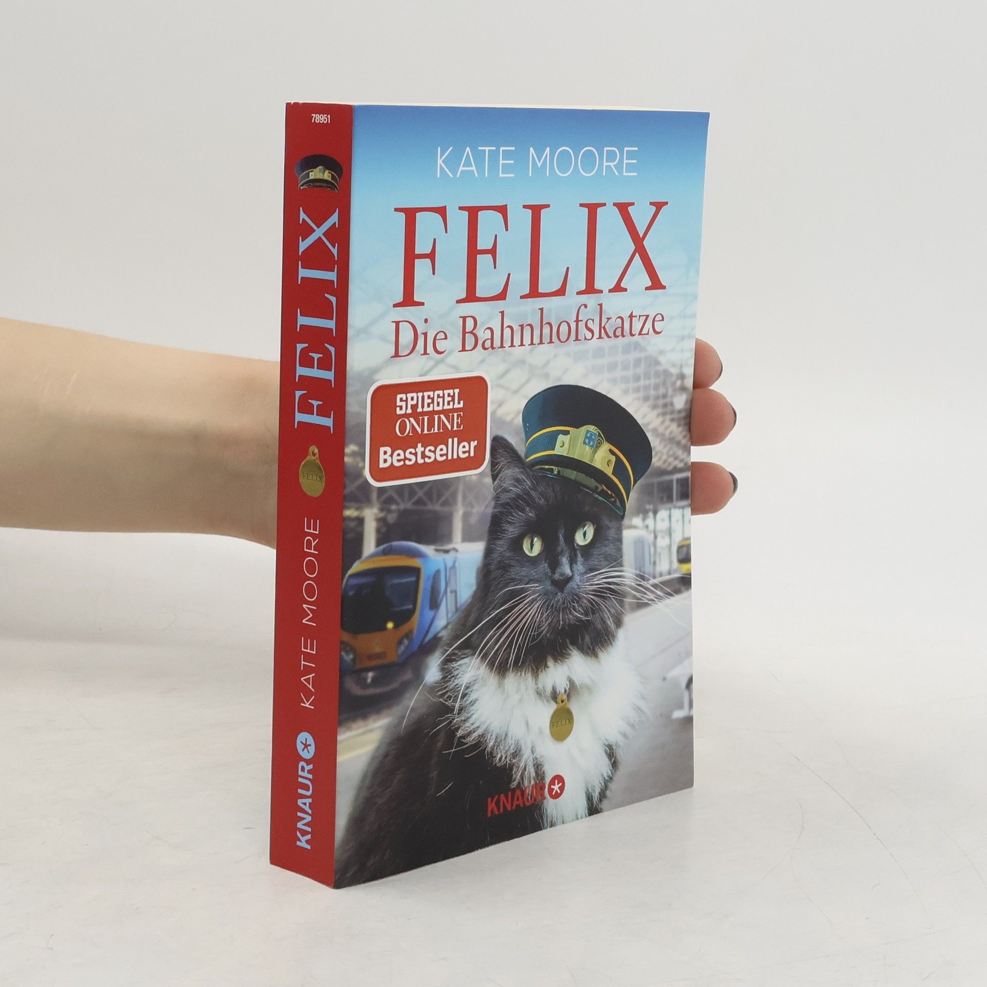 Kate Moore Felix - die Bahnhofskatze