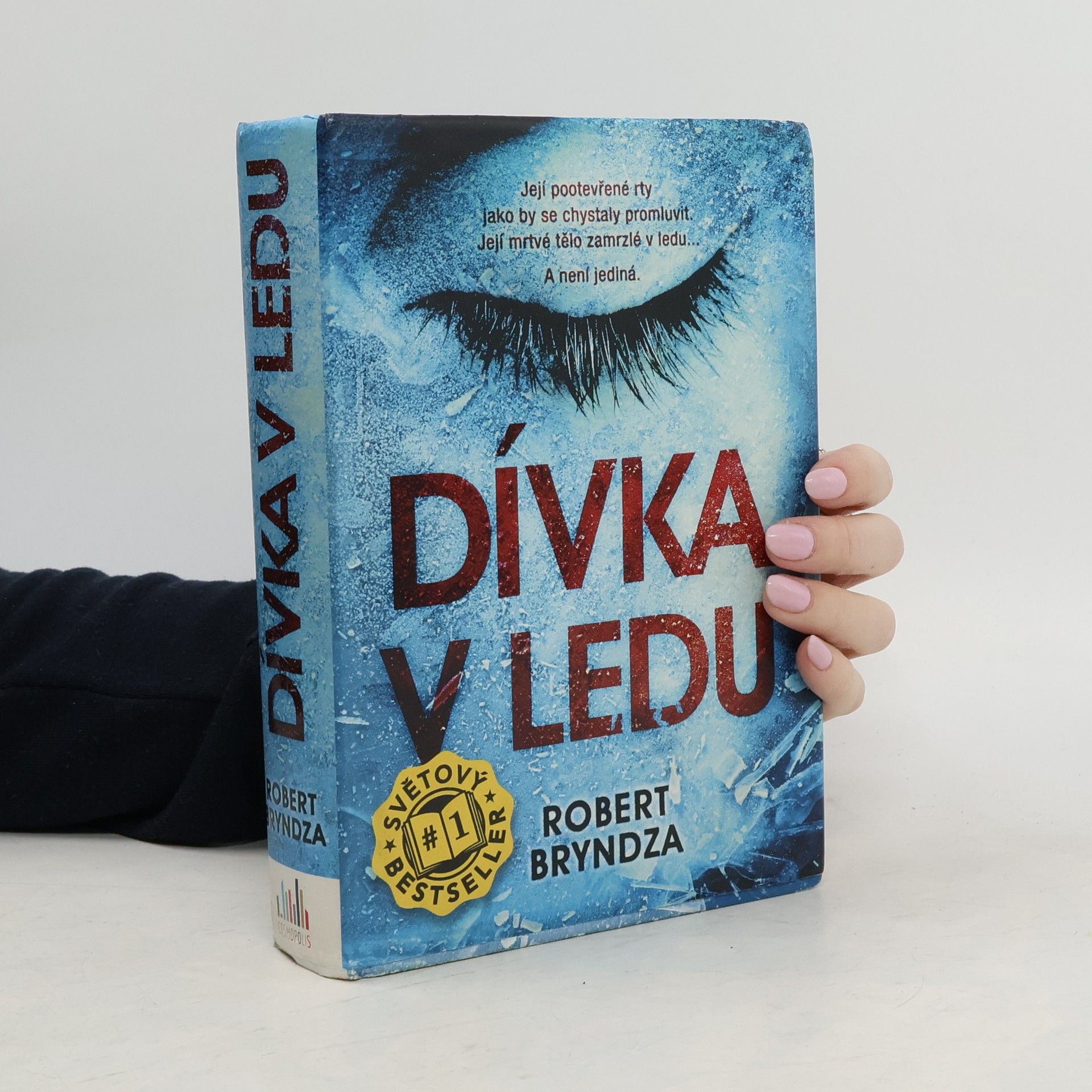 Robert Bryndza Dívka v ledu