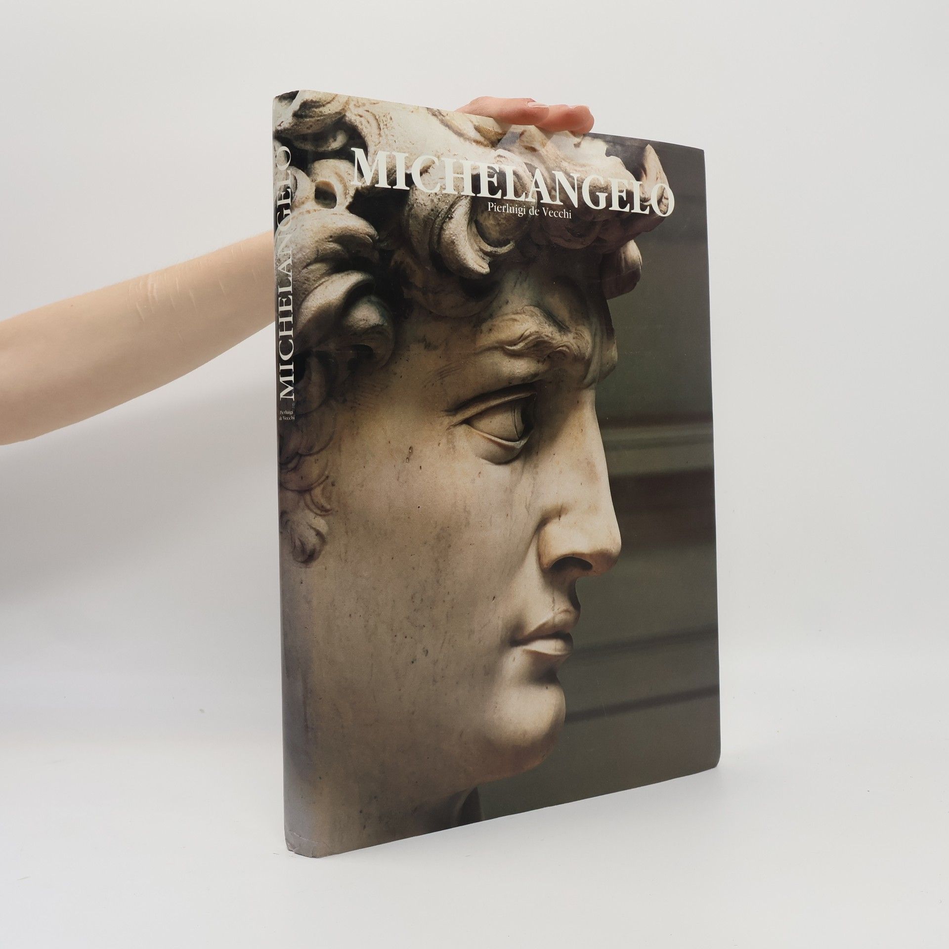 Pier Luigi De Vecchi Profiles in Art S.: Michelangelo