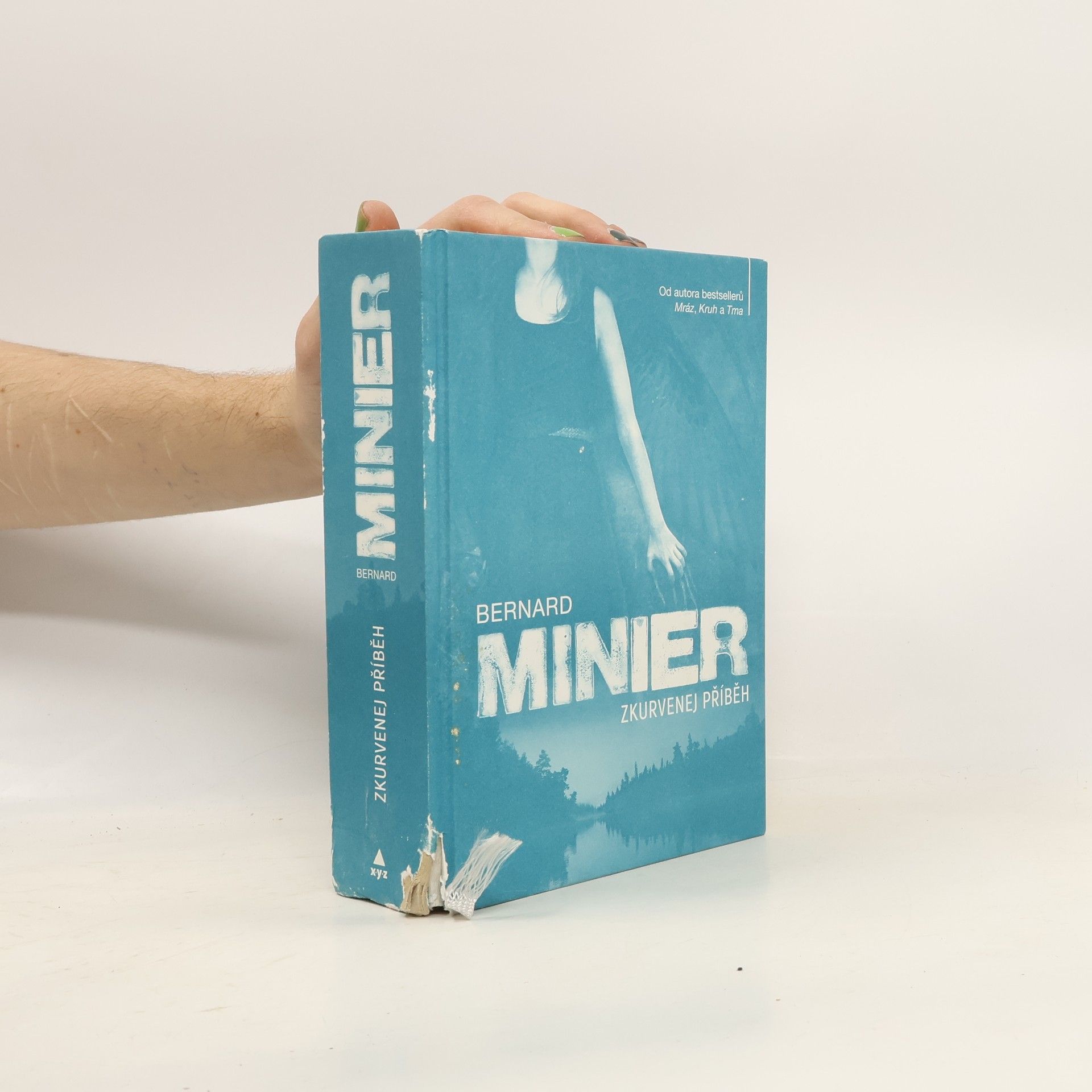 Bernard Minier Zkurvenej příběh