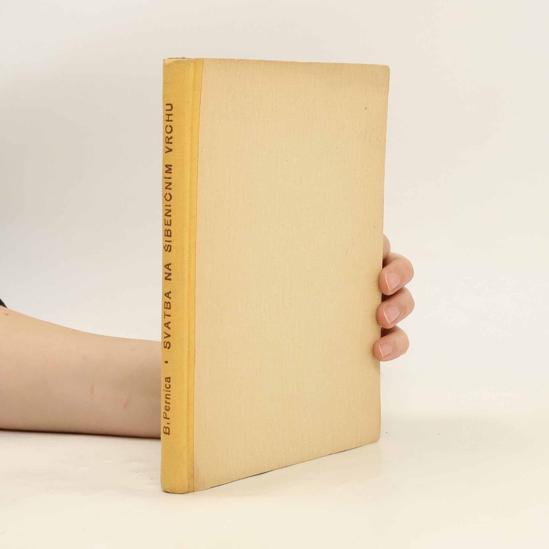 Bohuslav Pernica Svatba na šibeničním vrchu