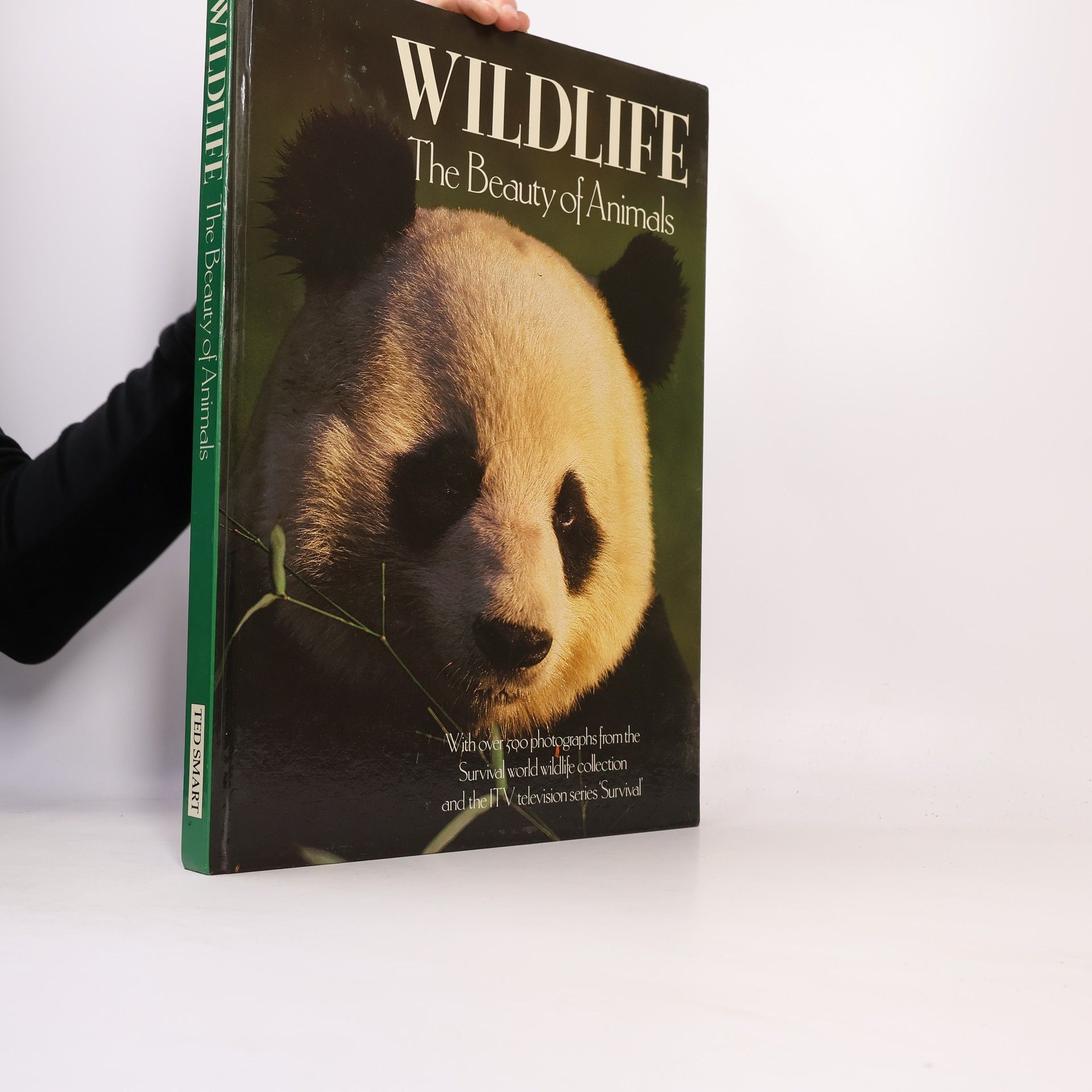 Ted Smart Wildlife The Beauty Of Animals