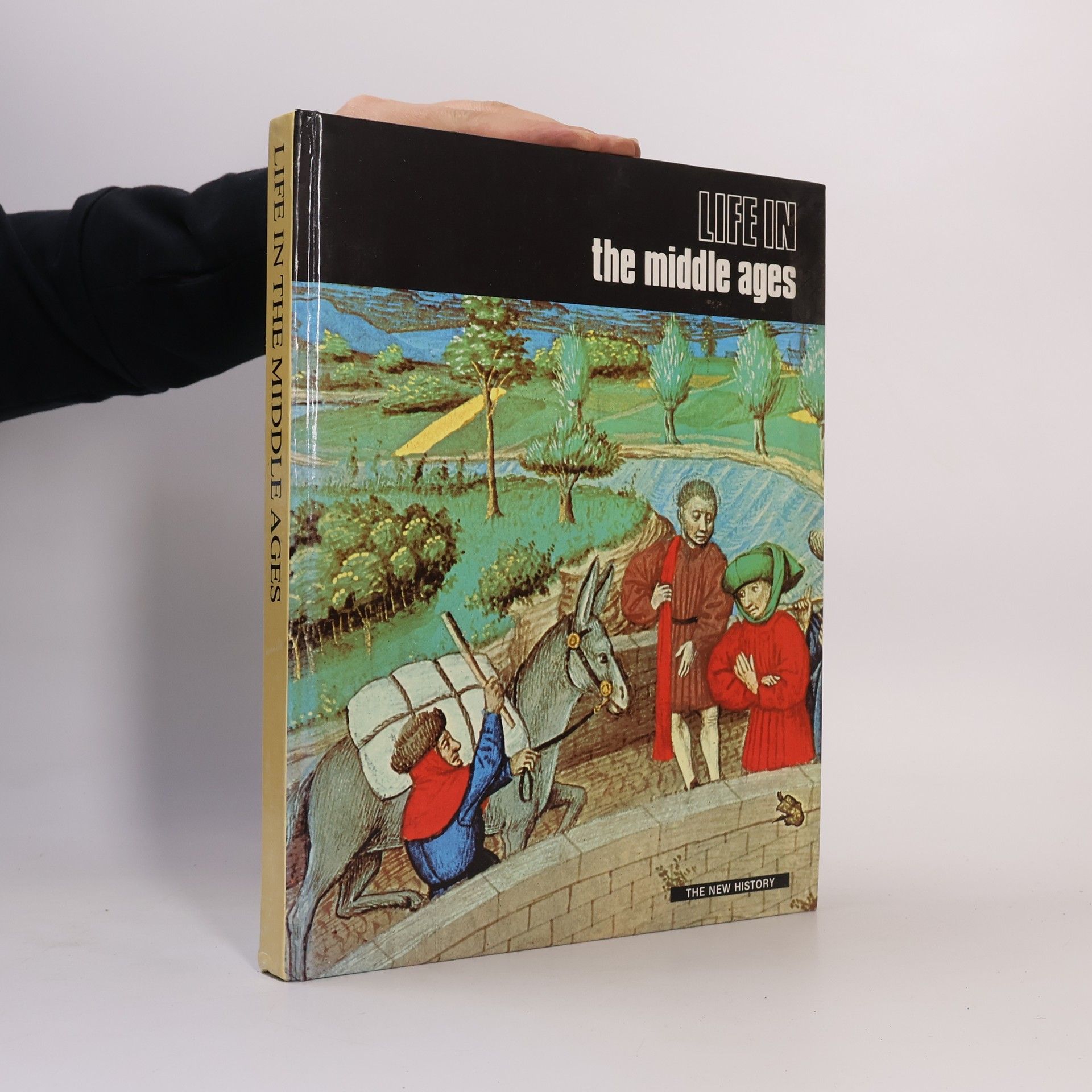 Various authors Life in the Middle Ages.